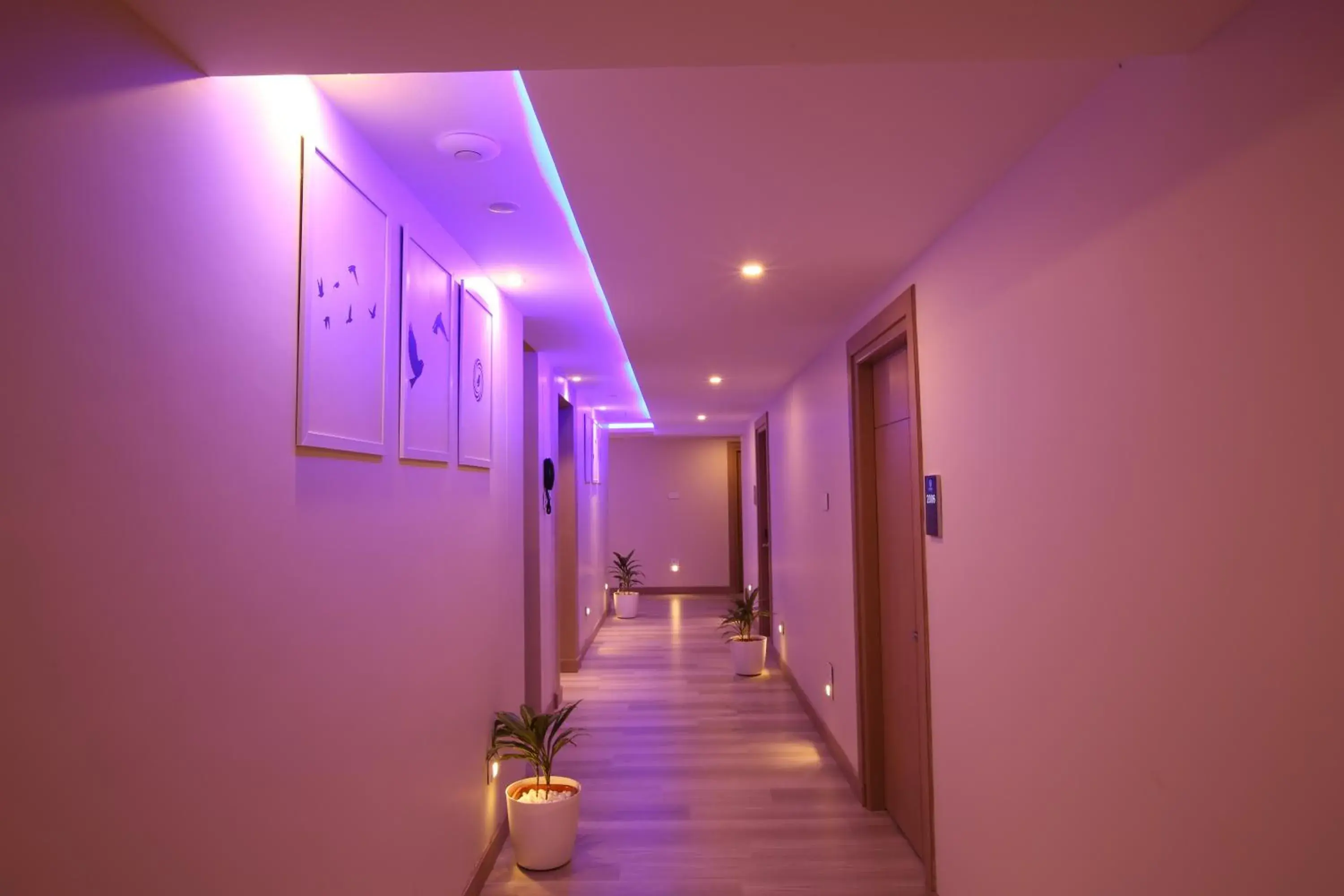 Property building in Mintotel Wayanad Property building in Mintotel Wayanad