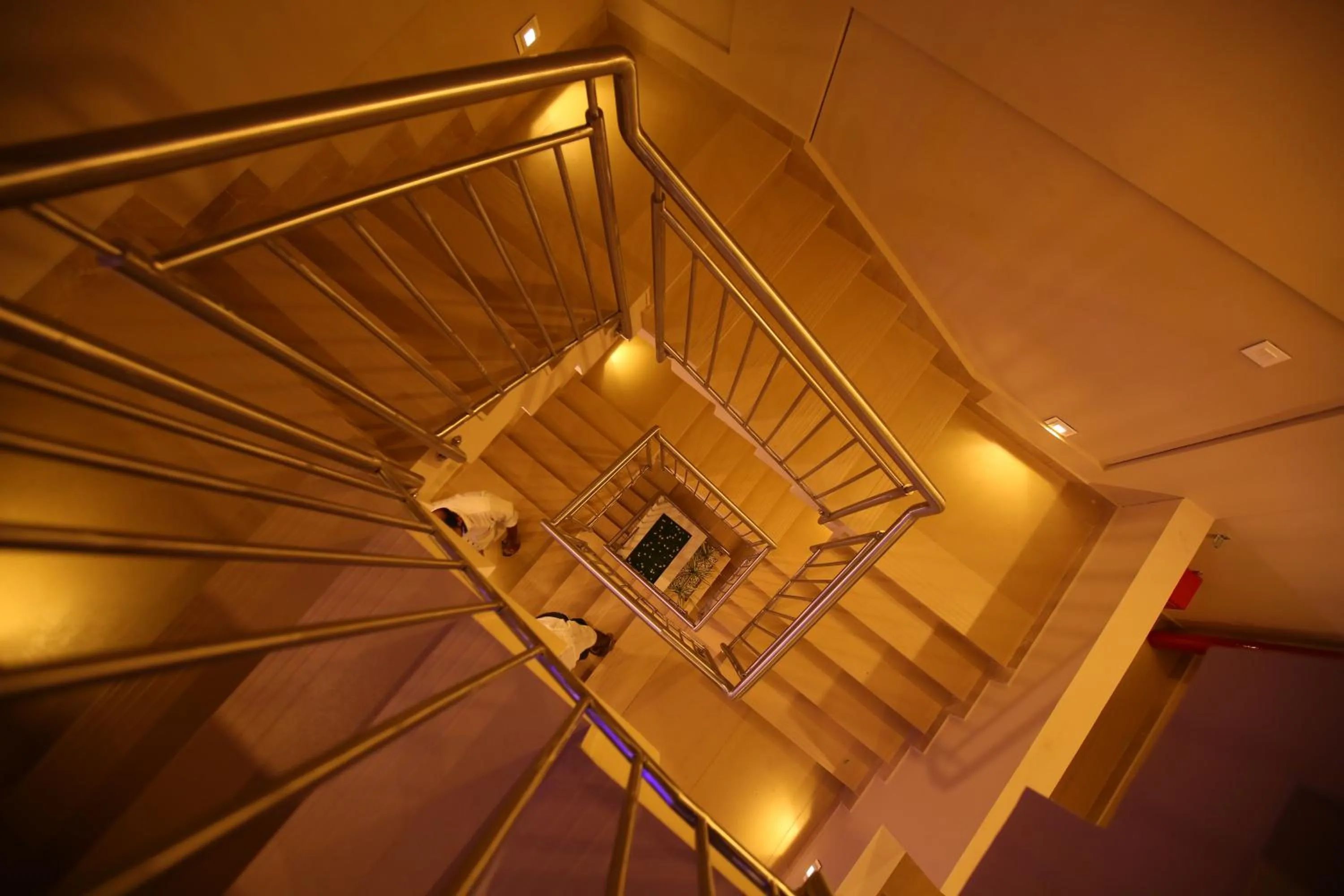 Property building in Mintotel Wayanad