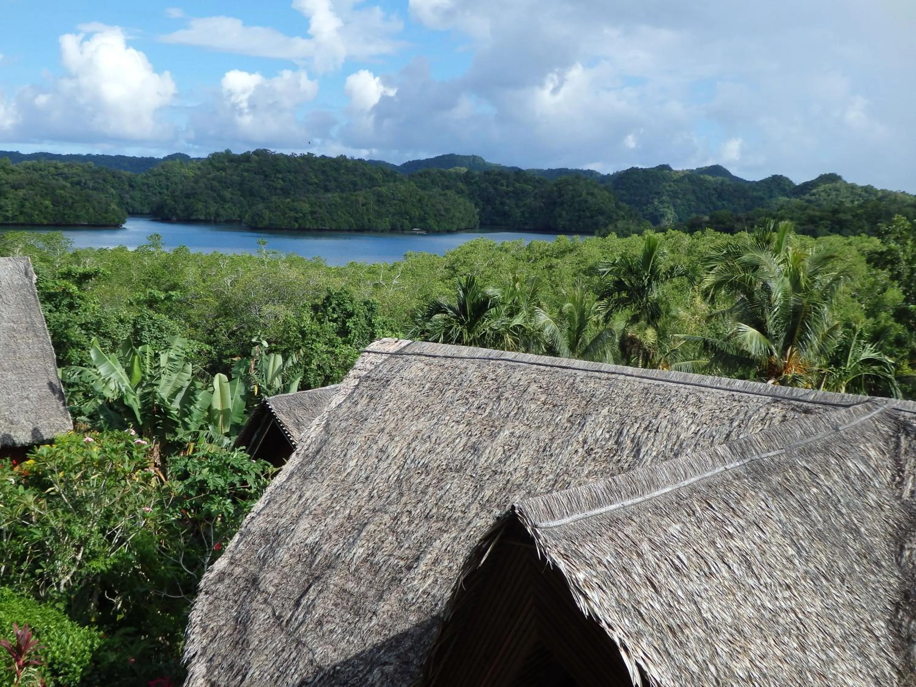 Palau Plantation Resort