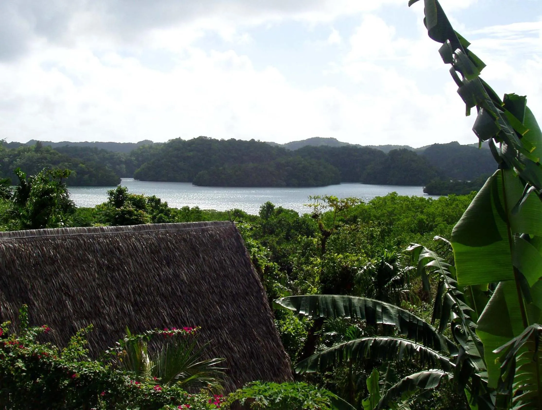 View (from property/room) in Palau Plantation Resort
