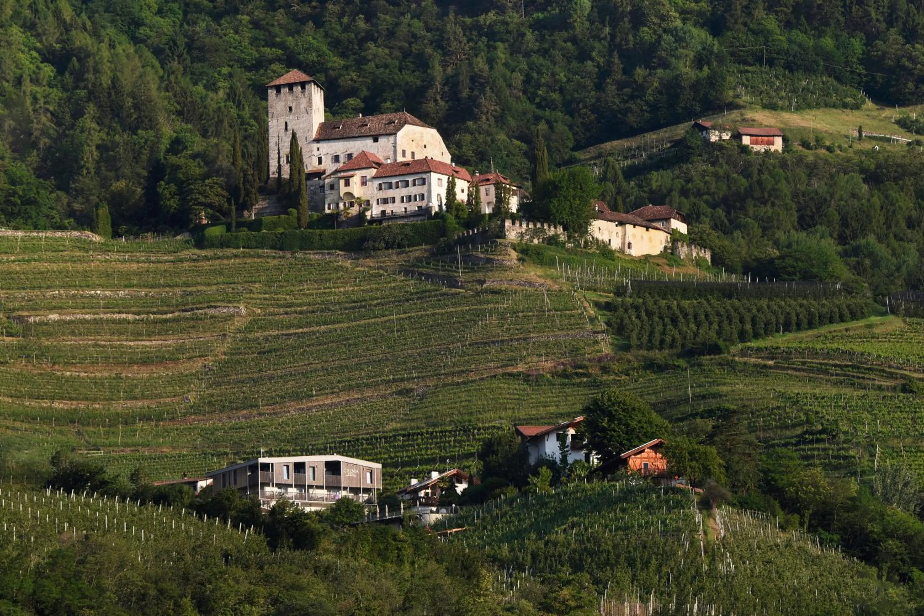 Bird's eye view in Apparthotel Calma