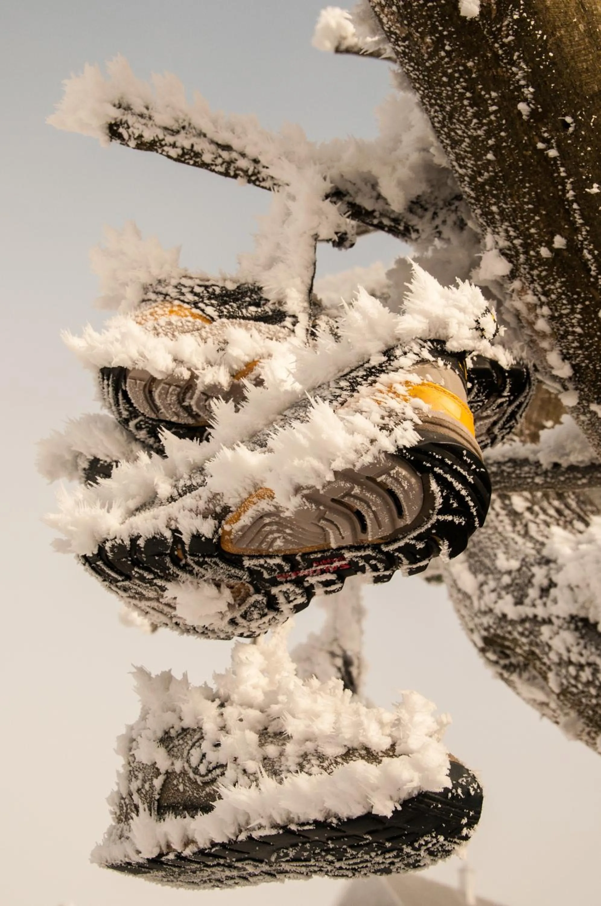 Other in Hotel Haus Oberland