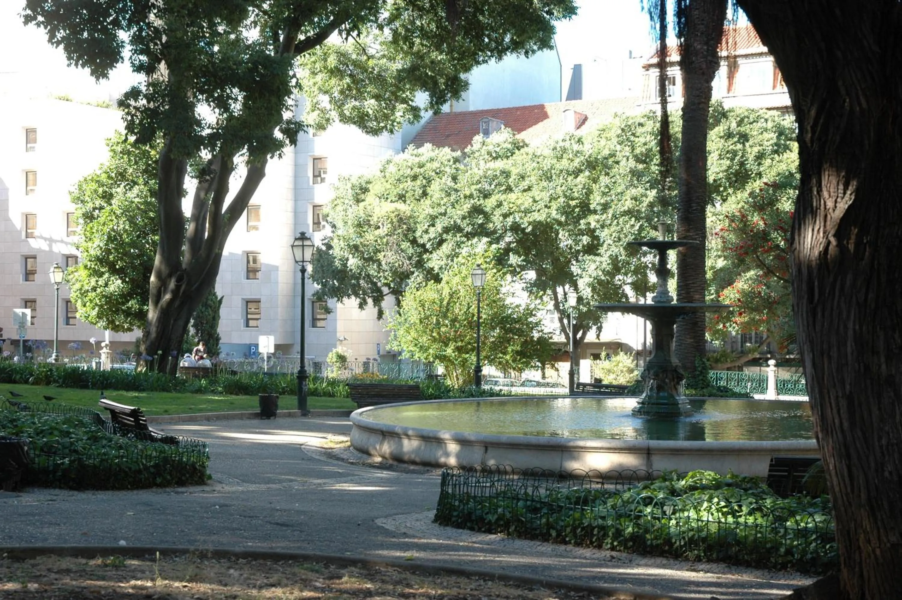 Area and facilities in Safira
