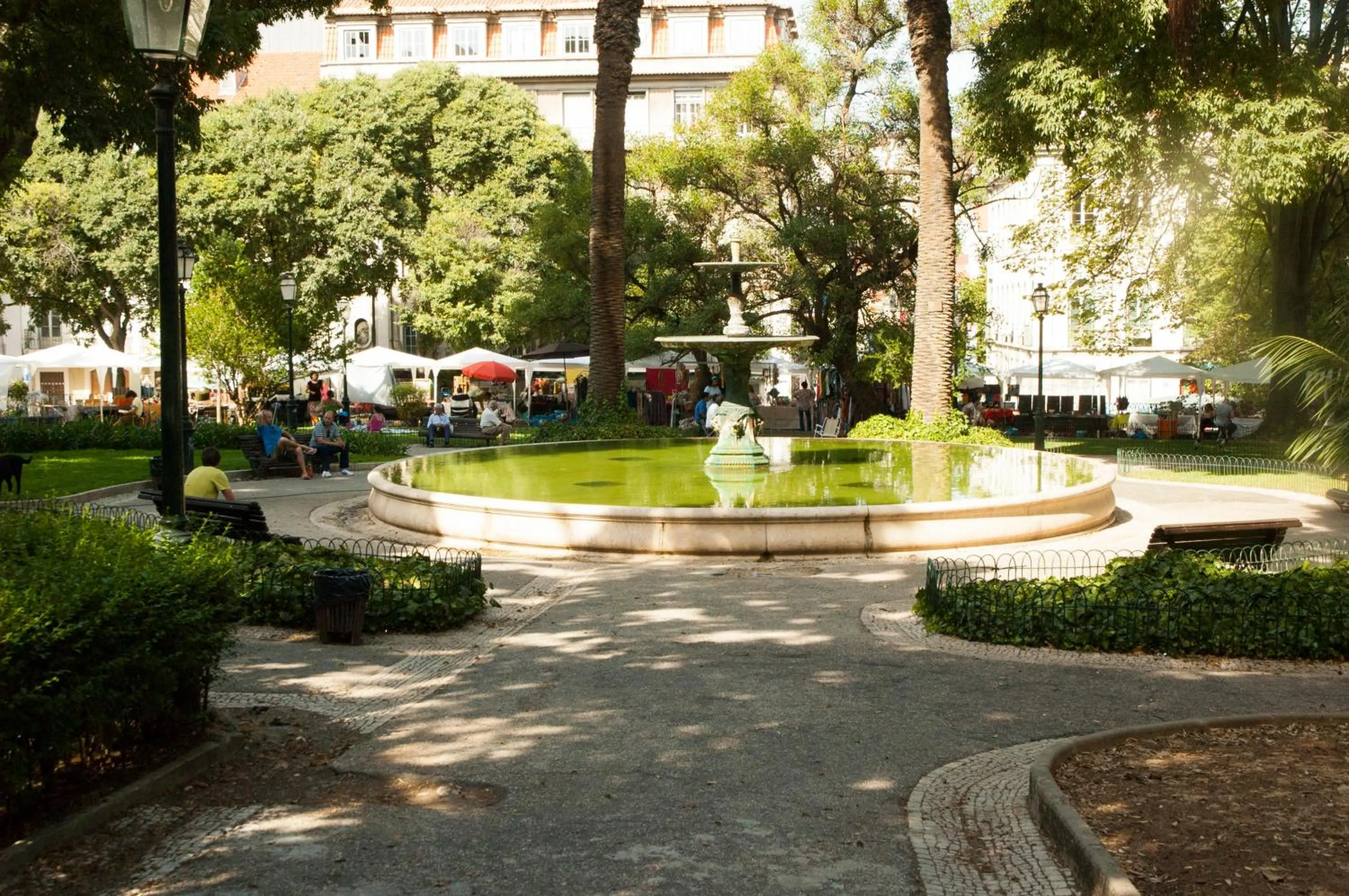 Area and facilities in Safira