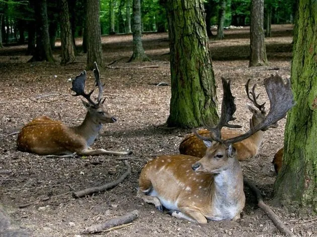 Off site in B&B Angela