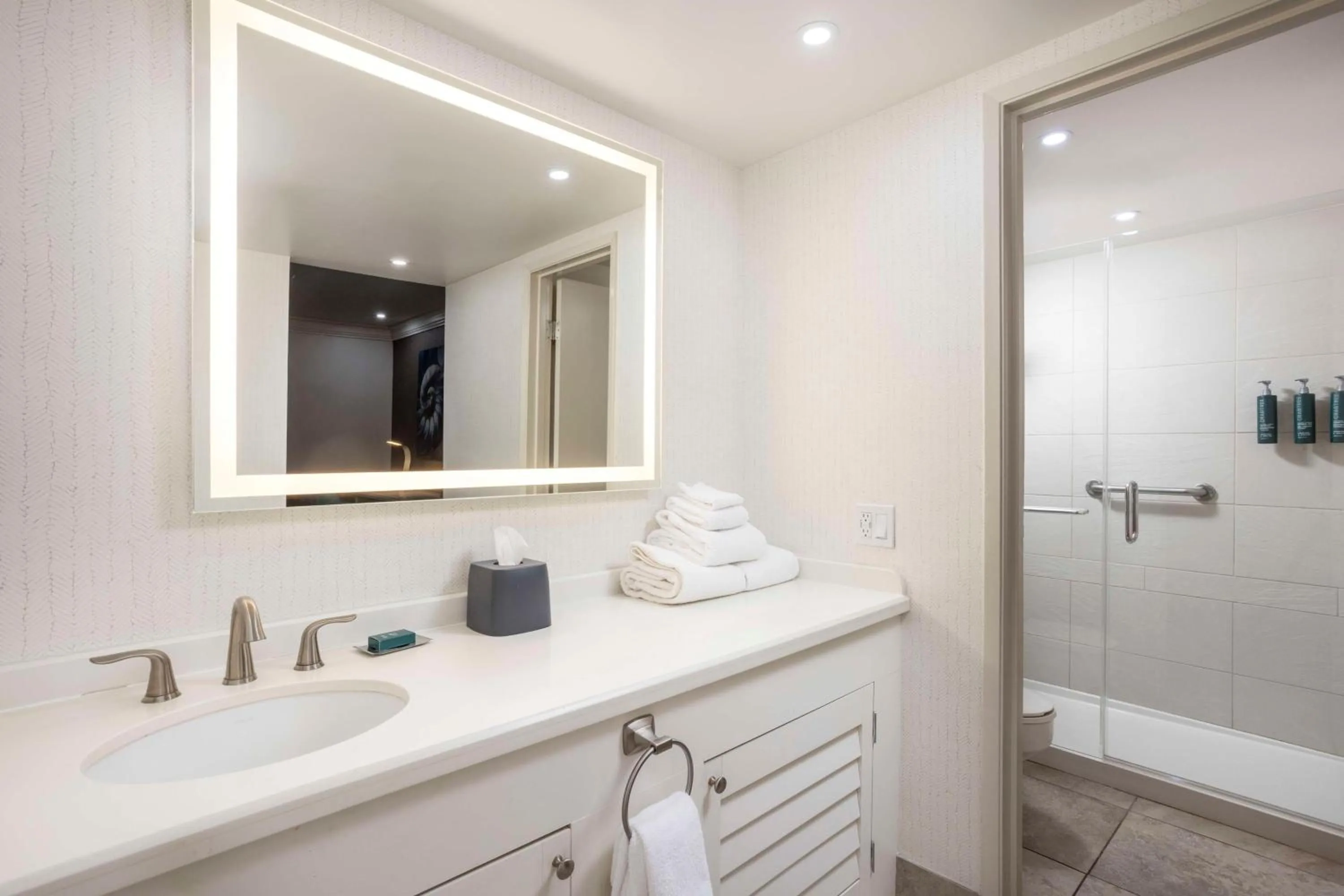 Bathroom in DoubleTree by Hilton San Diego Bayside