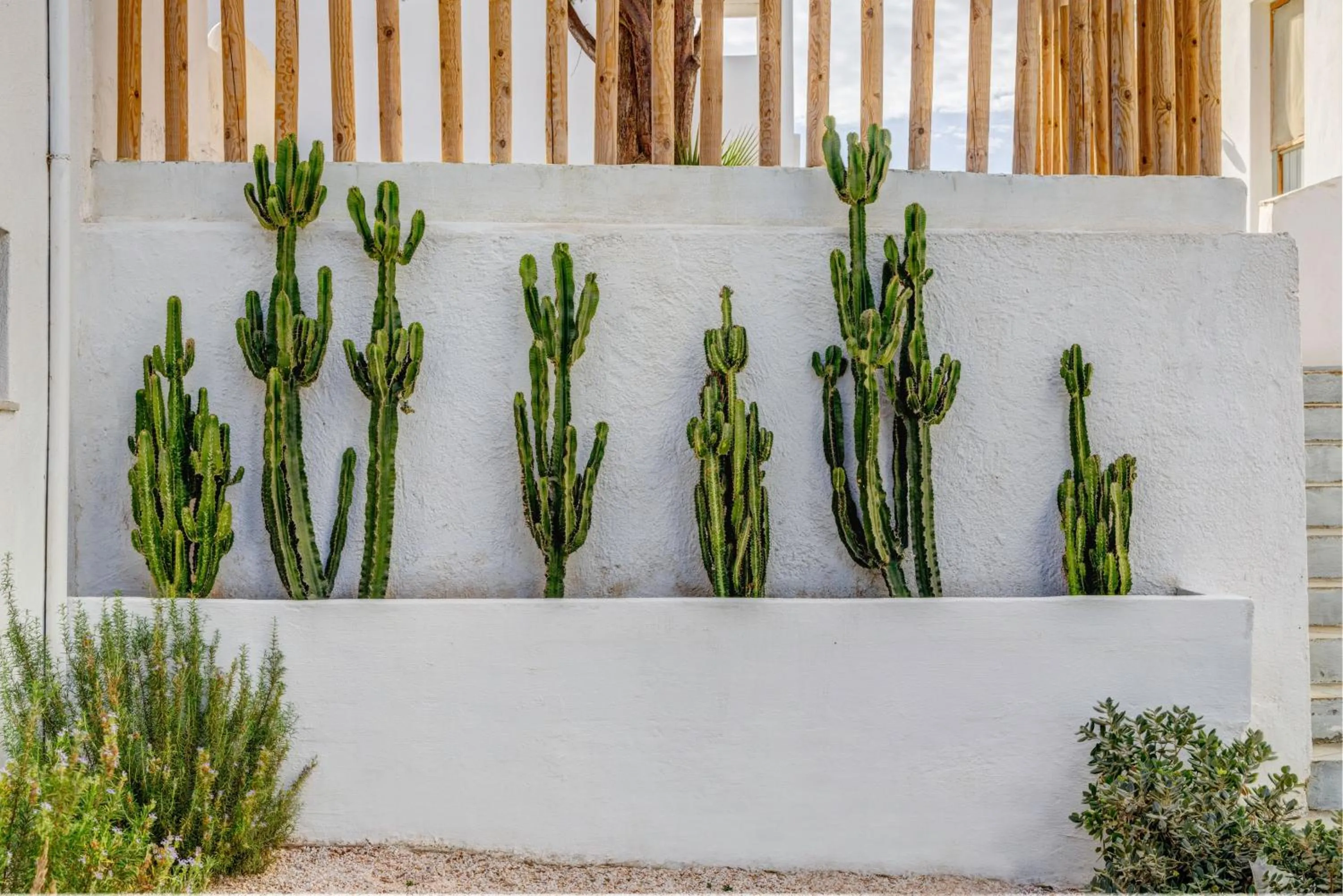 Garden in Thalassa Naxos
