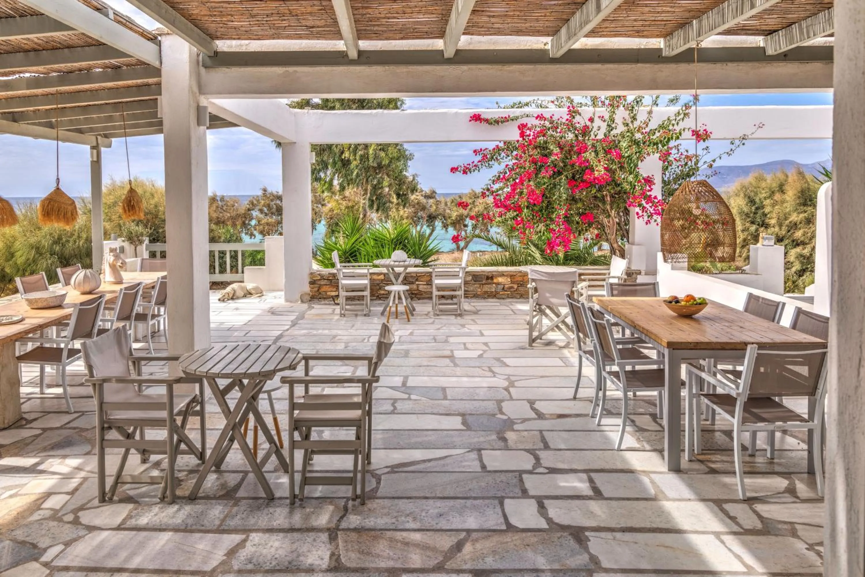 Restaurant/places to eat in Thalassa Naxos