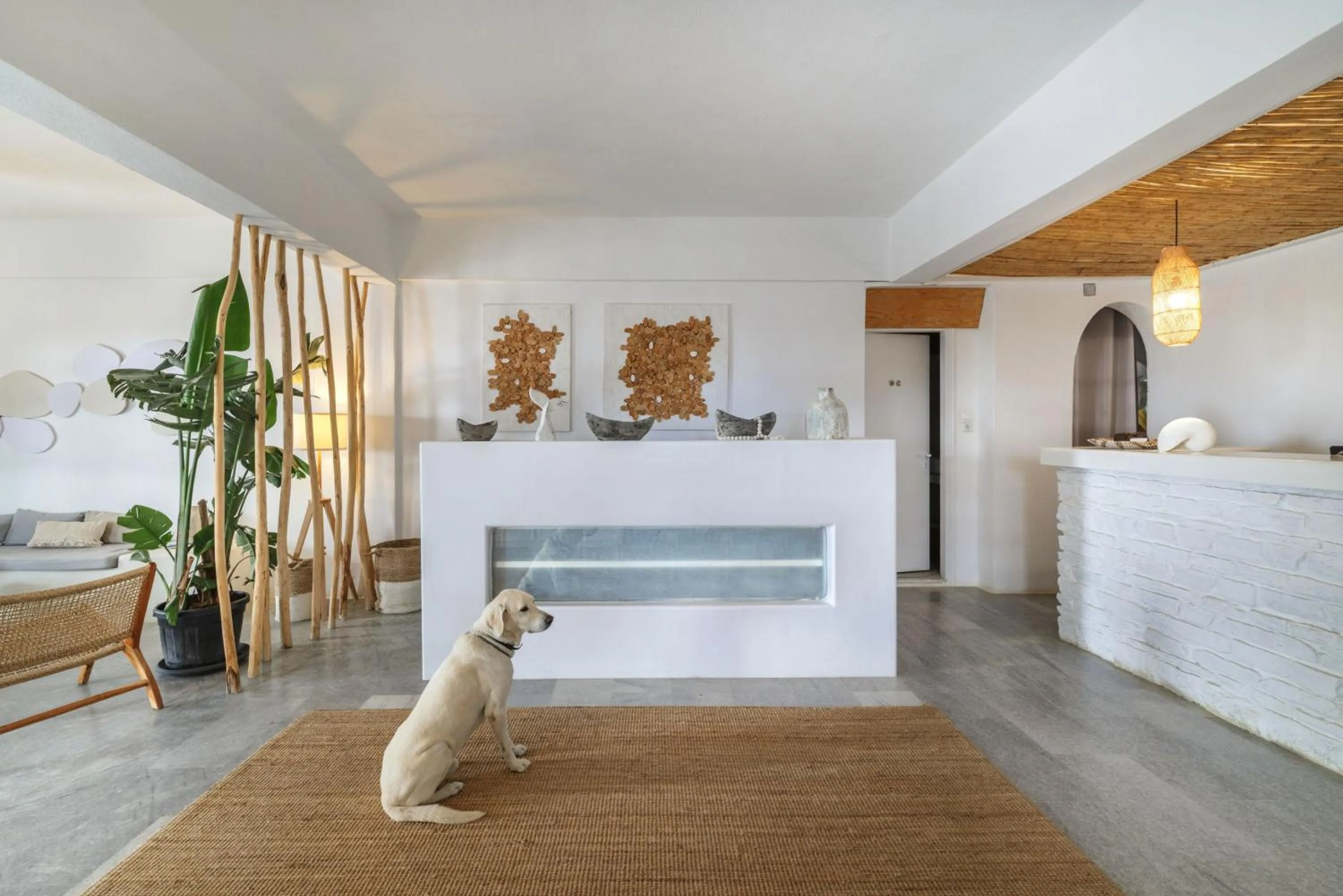 Lobby or reception in Thalassa Naxos
