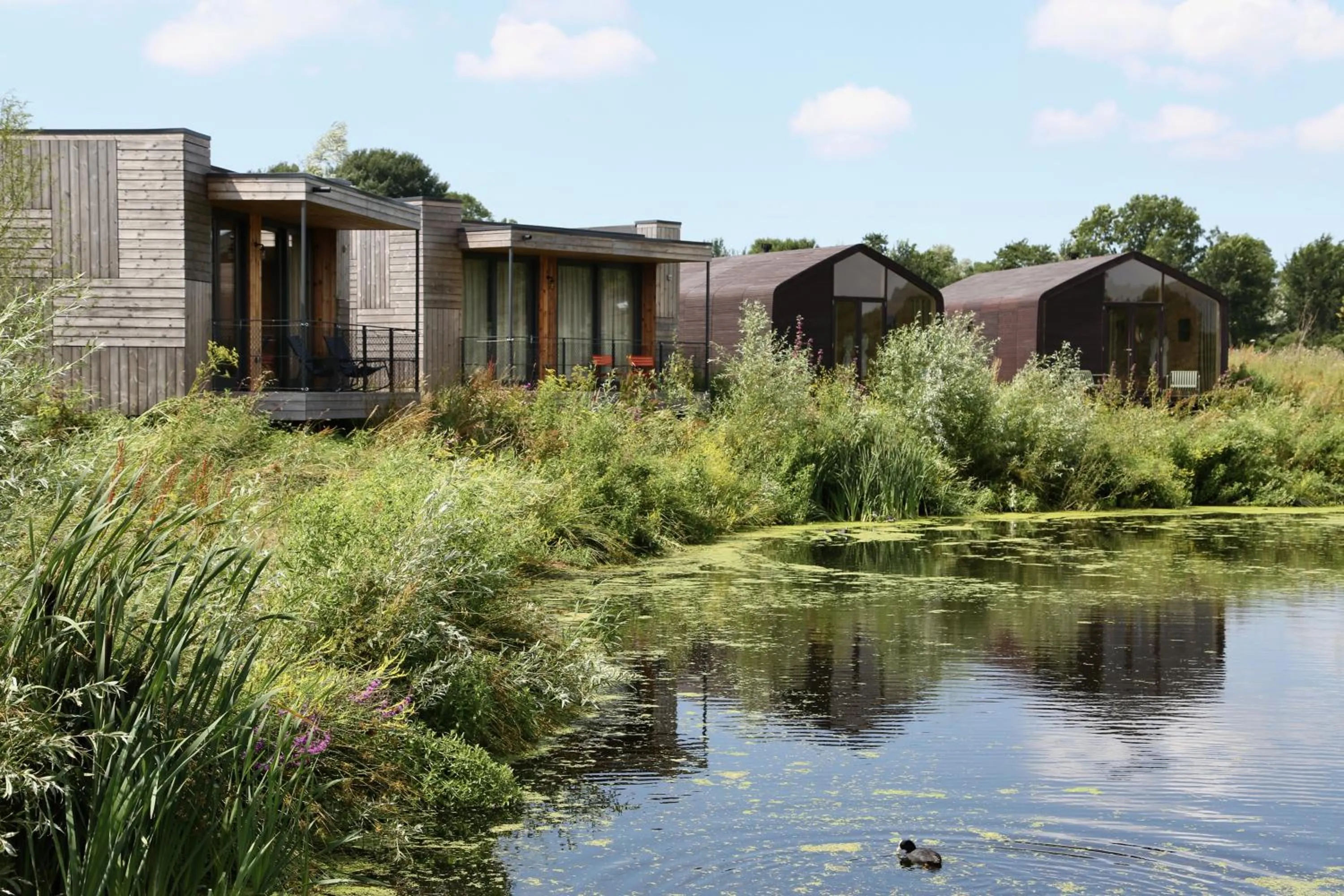 Property building in Basecamp Amsterdam