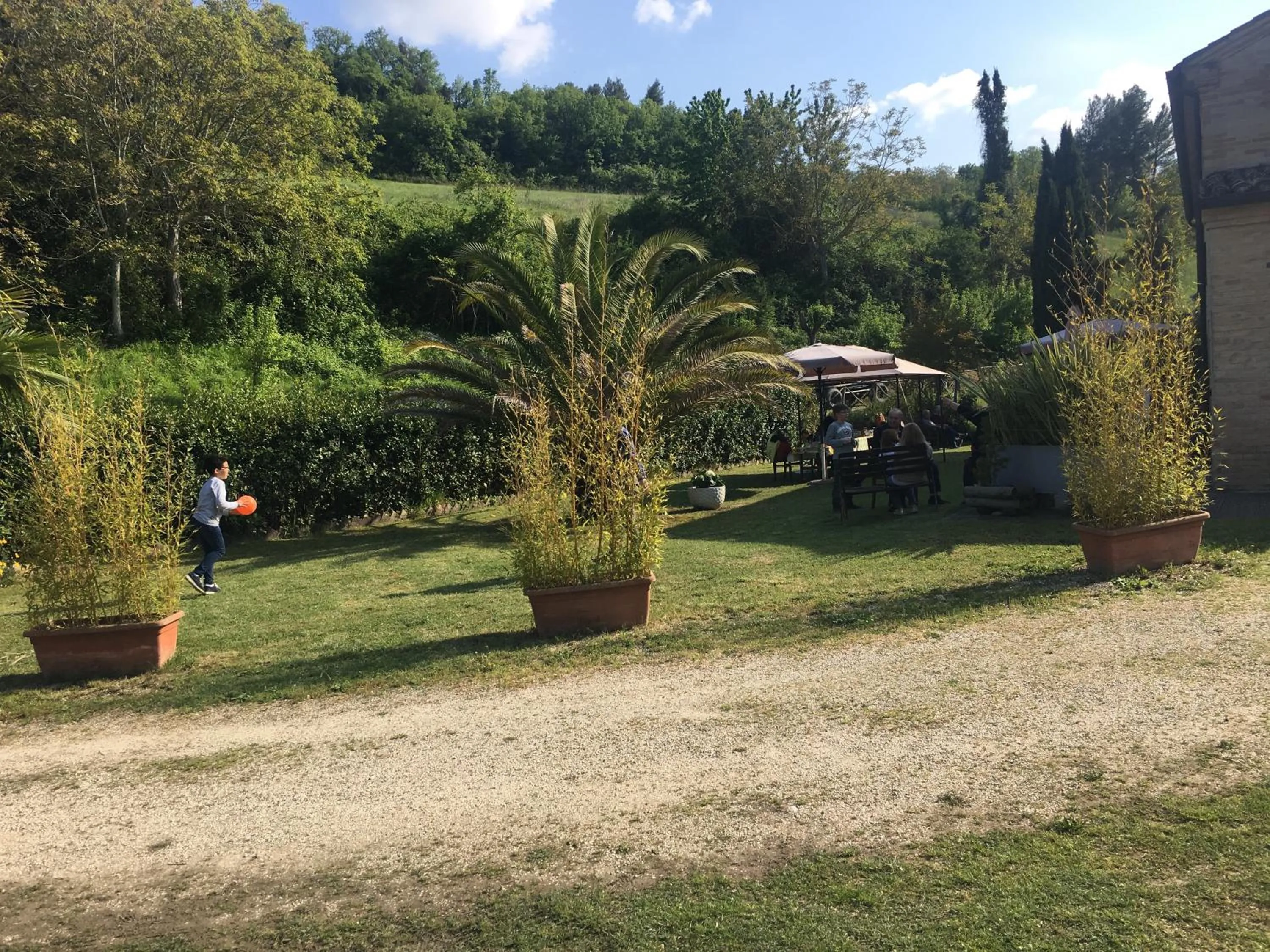 Affitta Camere Il Pettirosso