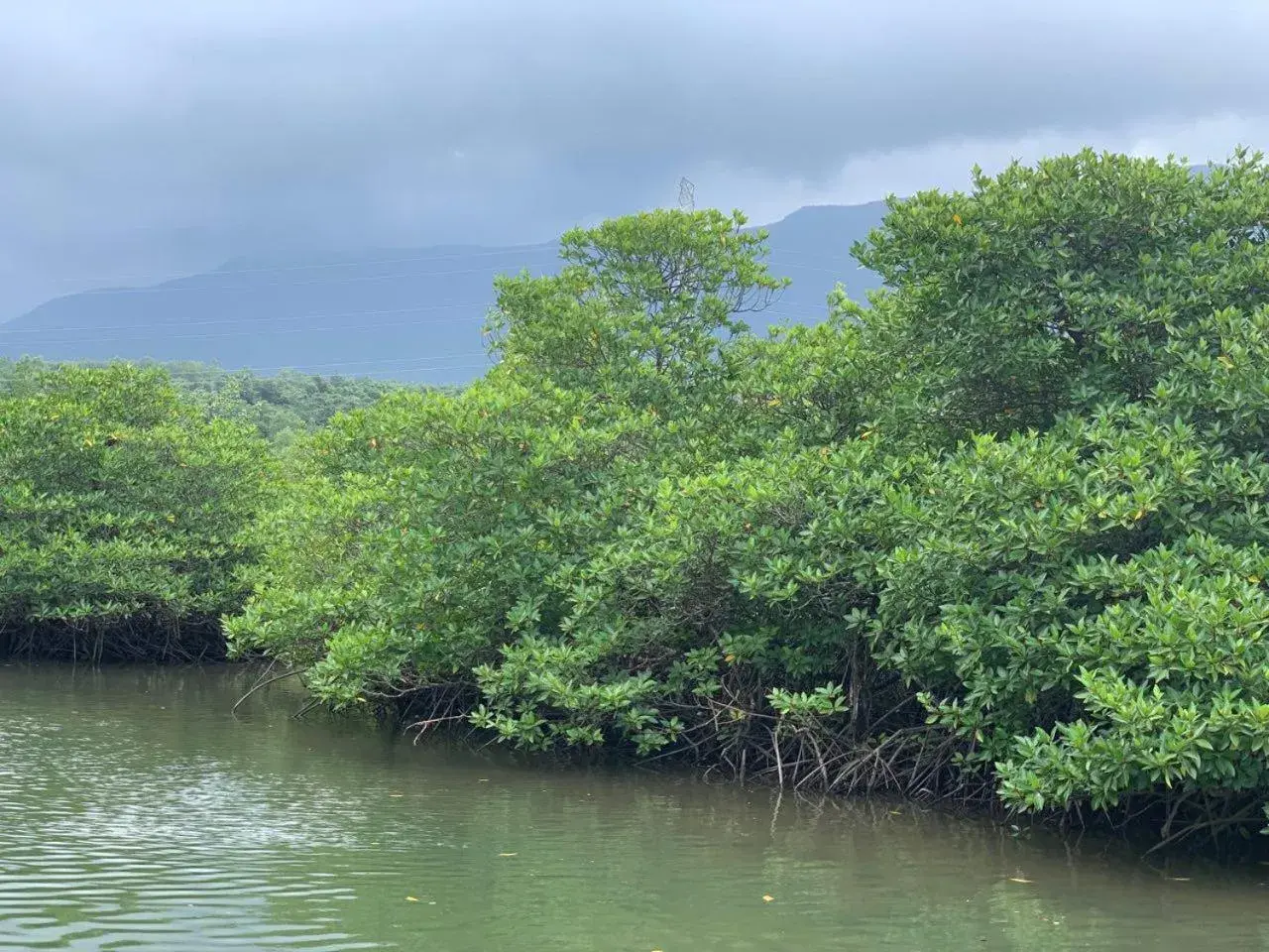 View (from property/room) in Prek Kdat Resort View (from property/room) in Prek Kdat Resort