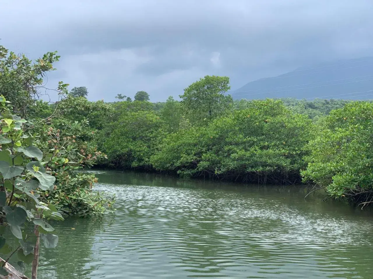 River view in Prek Kdat Resort River view in Prek Kdat Resort