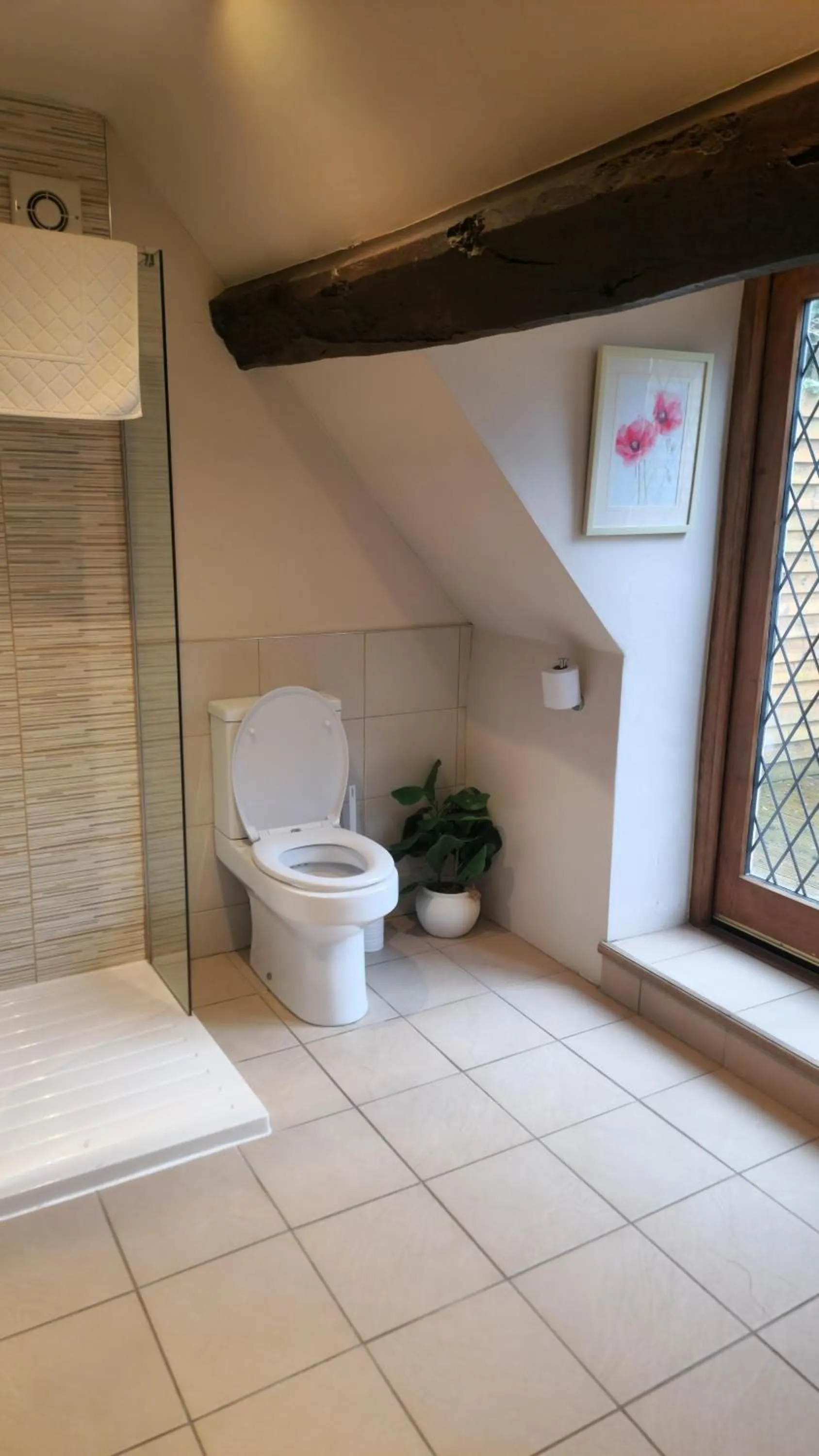 Toilet in The Punch Bowl Inn