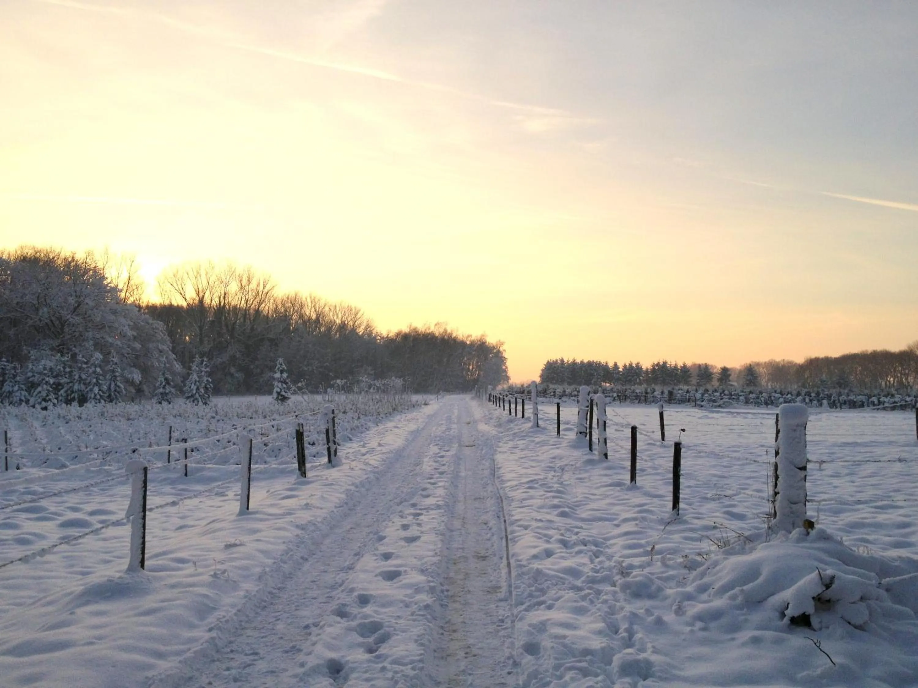 Area and facilities in B&B Roodbeekerhof