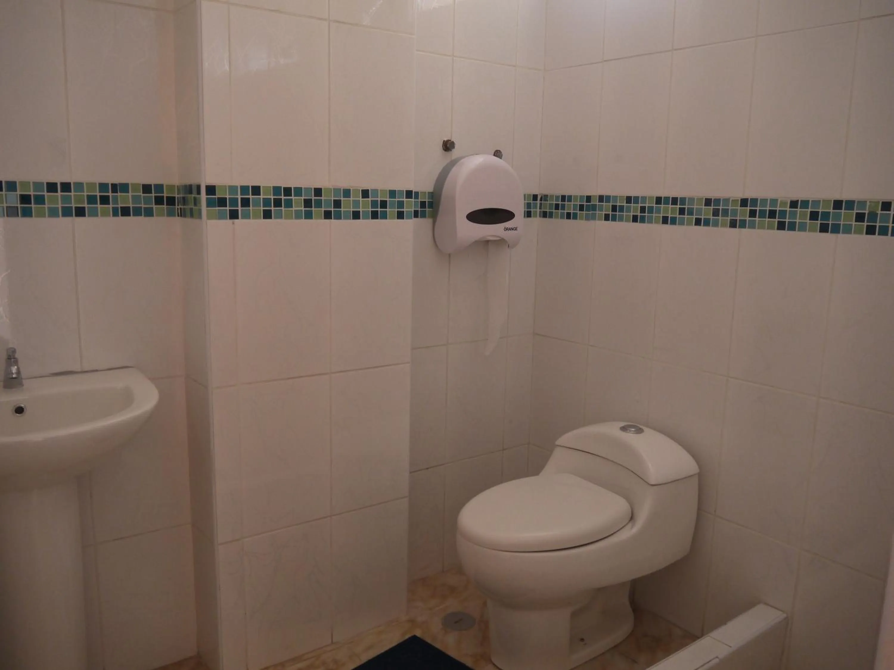 Shower in Hotel Suite Juliaca