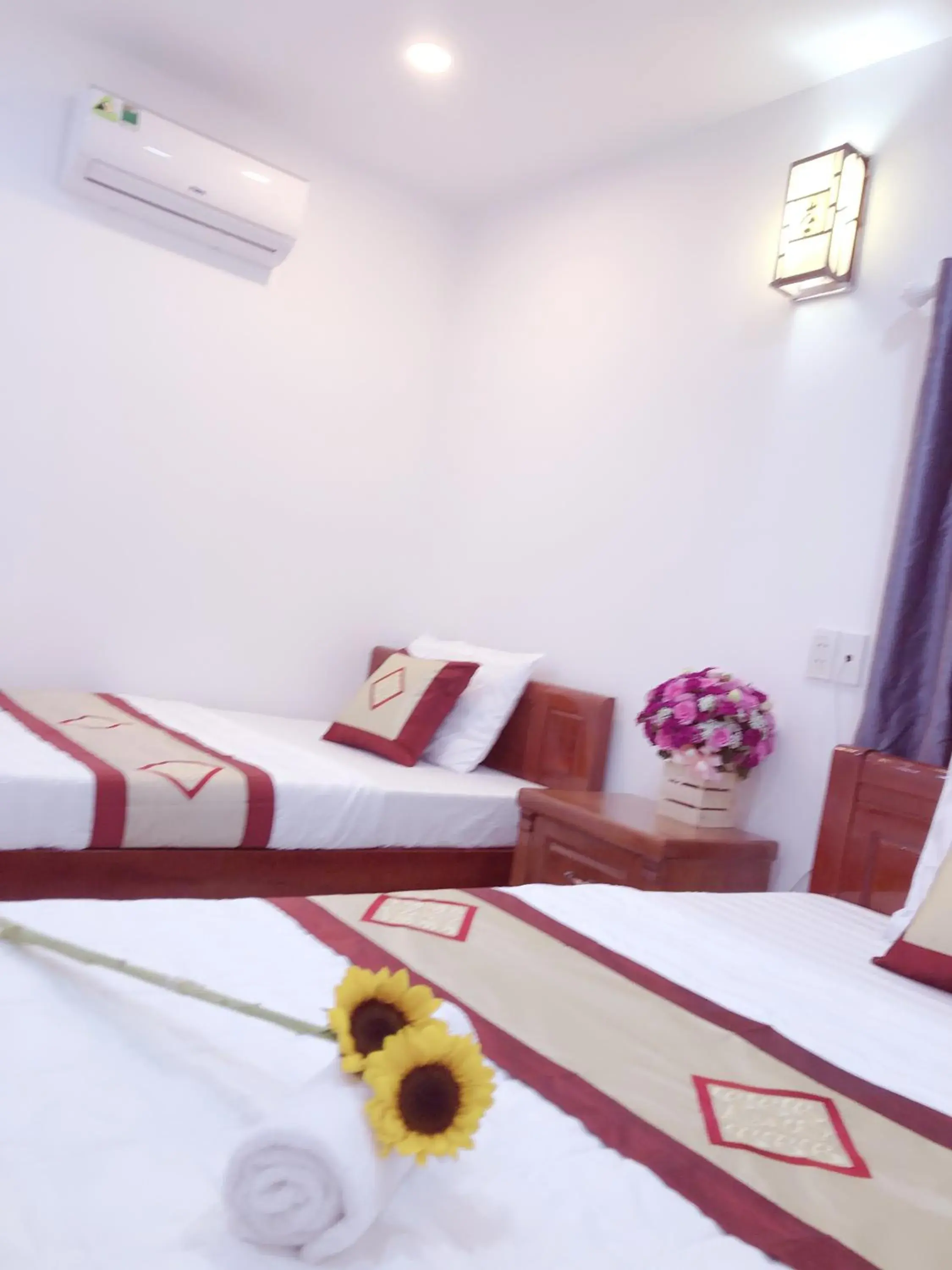 Living room, Bed in Aurora Hotel Living room, Bed in Aurora Hotel