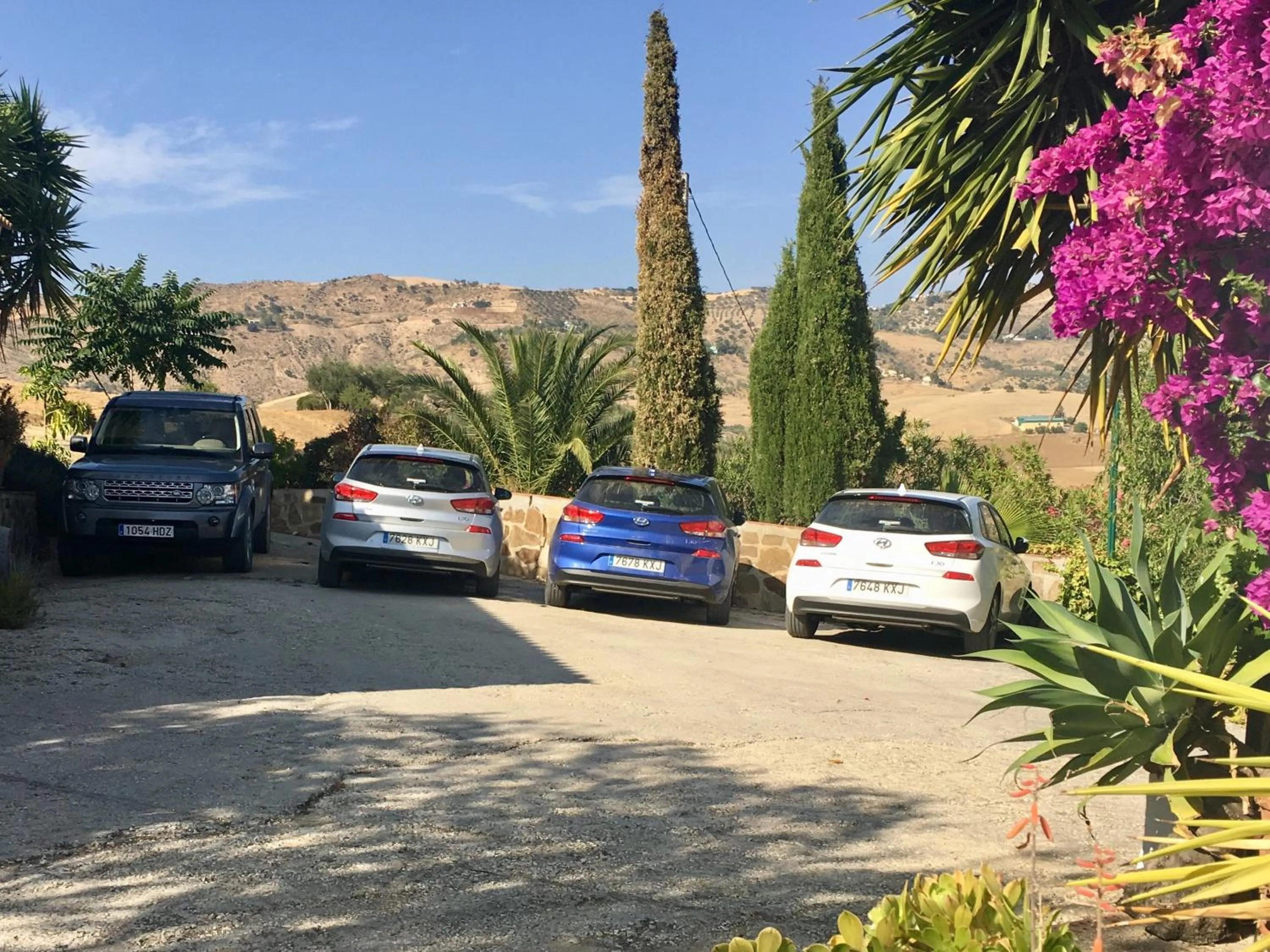 Area and facilities in Finca Las Campanas II