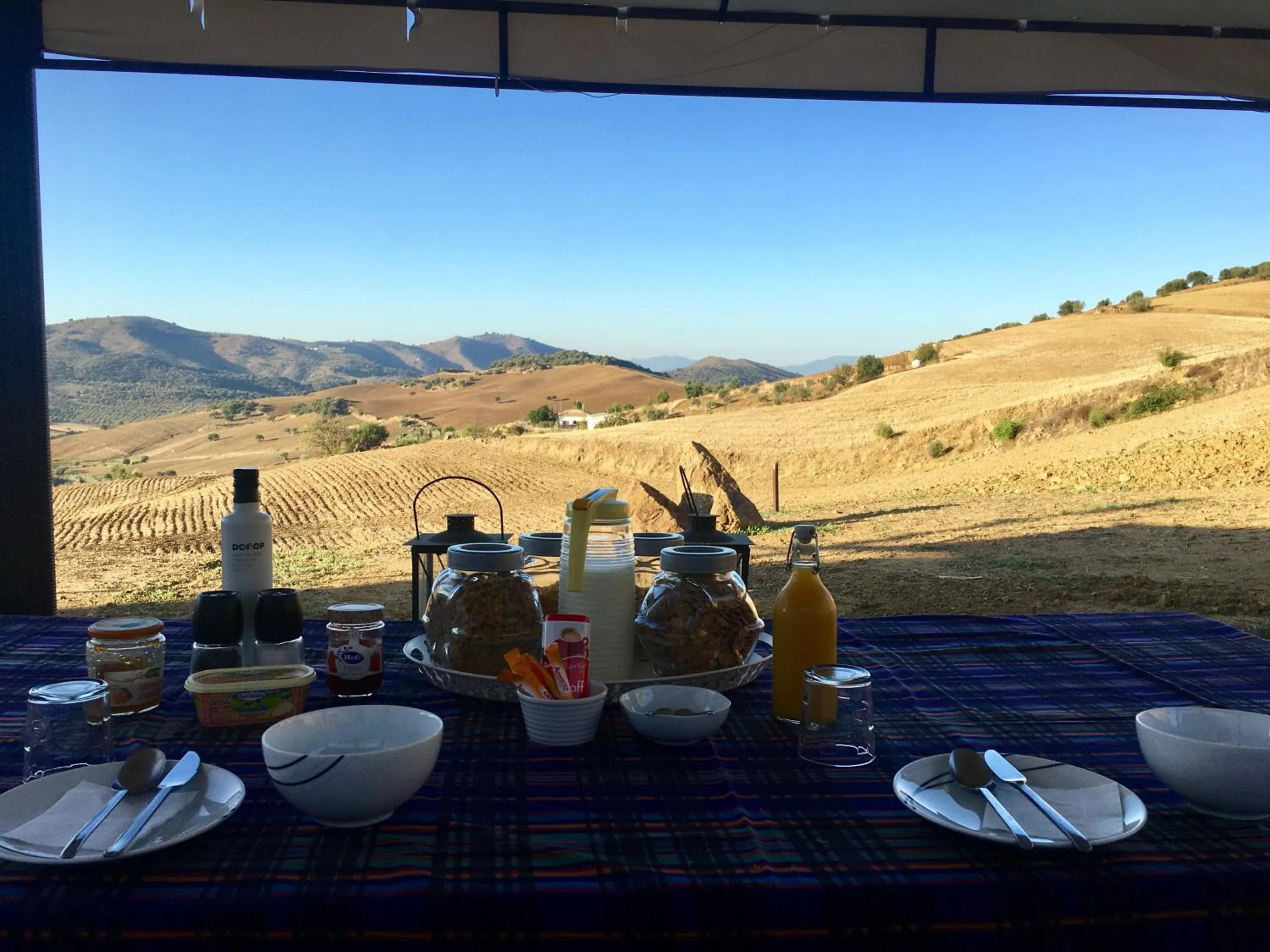 Breakfast in Finca Las Campanas II