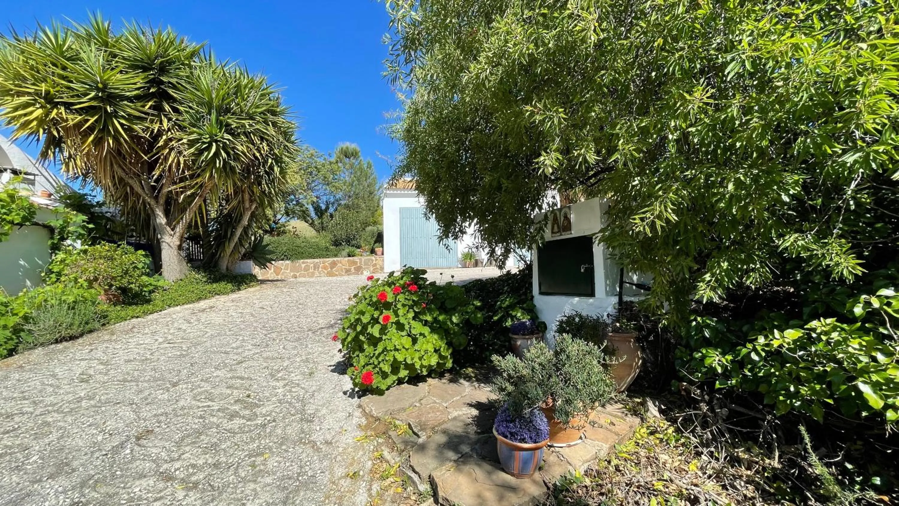 Finca Las Campanas II