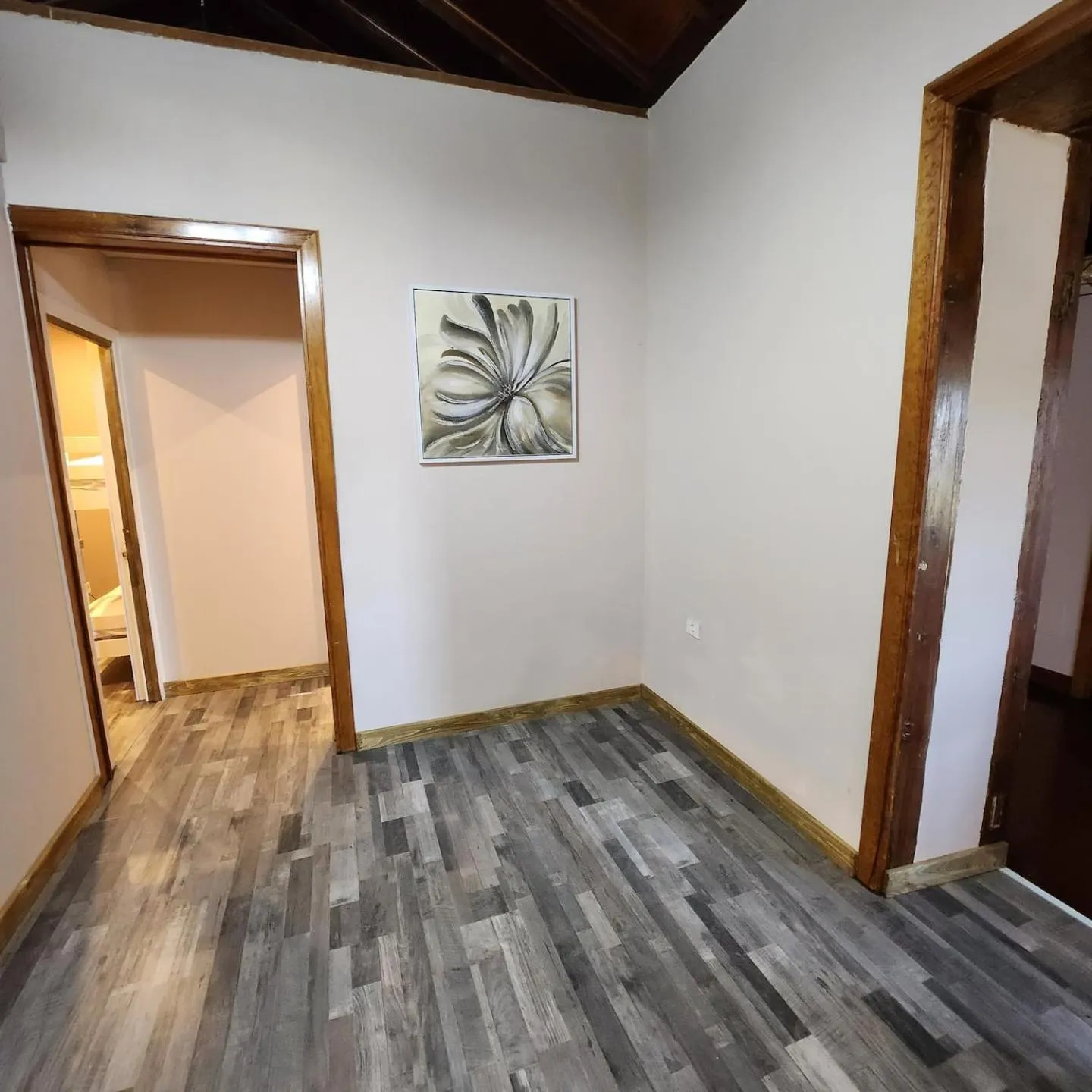 Ziggy's Mountain Retreat