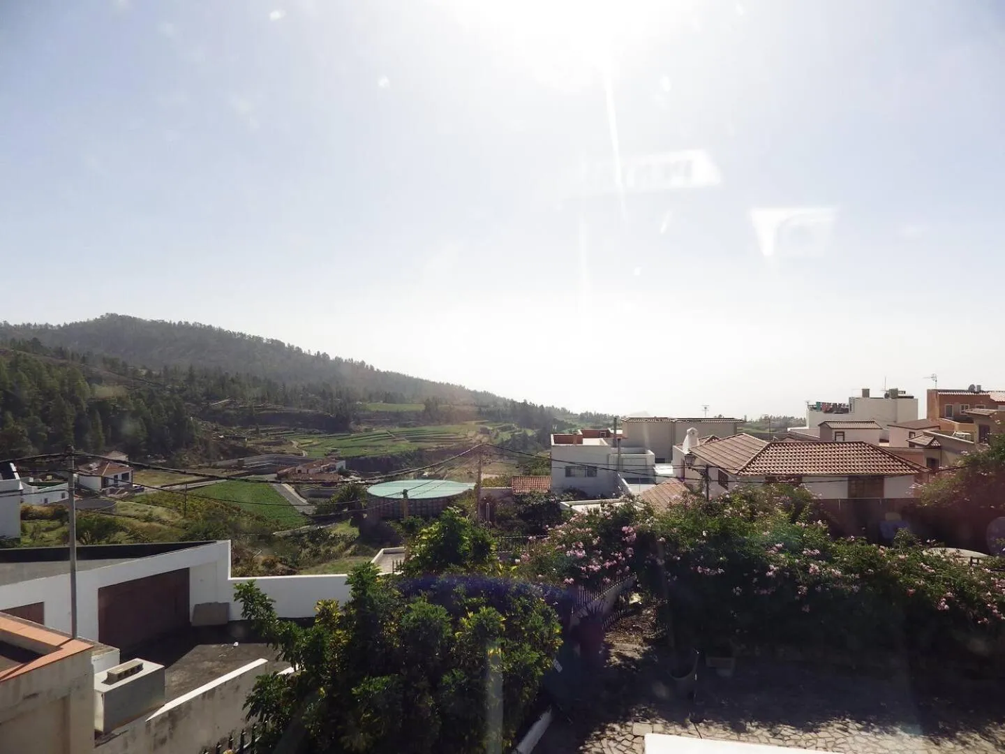 Ziggy's Mountain Retreat