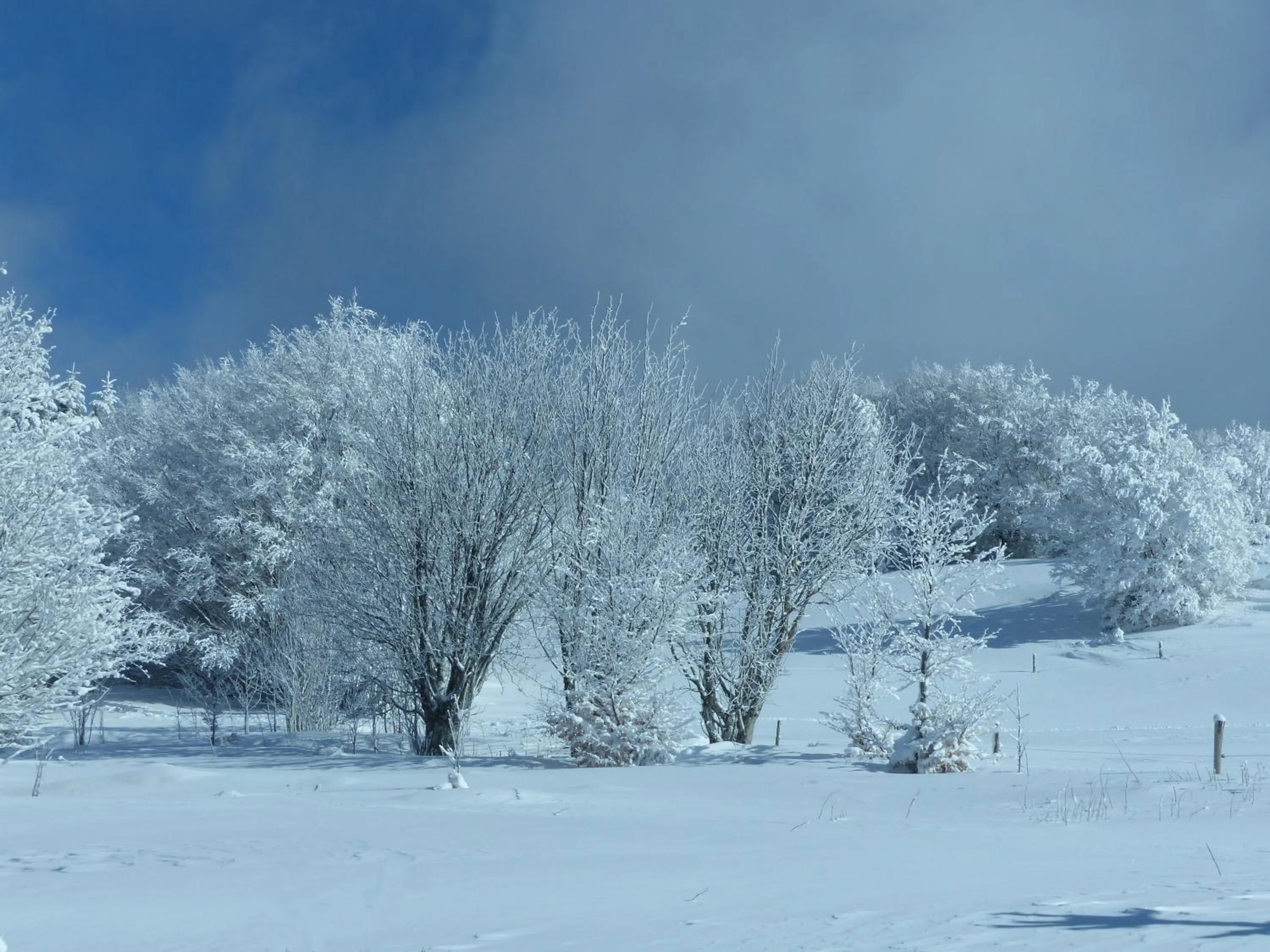 Nearby landmark in Pavillon Kalensa