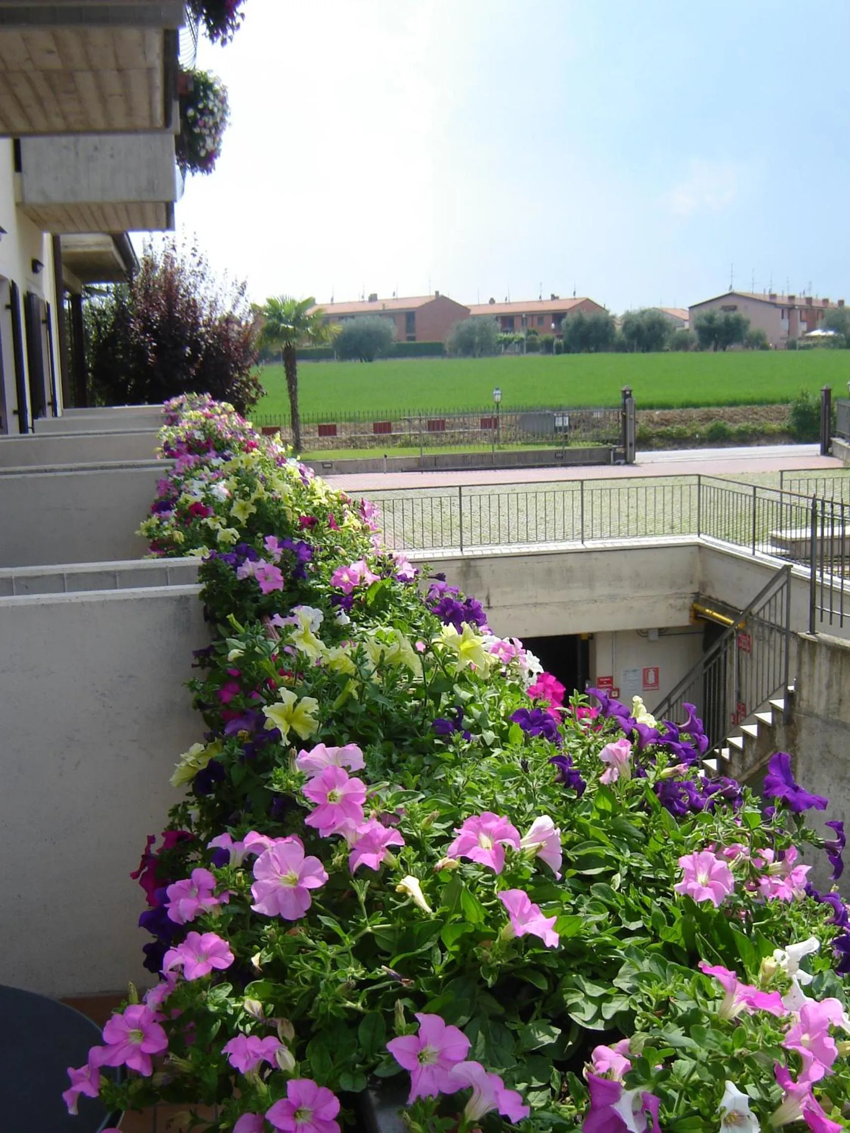 Balcony/Terrace in Hotel da Roberto