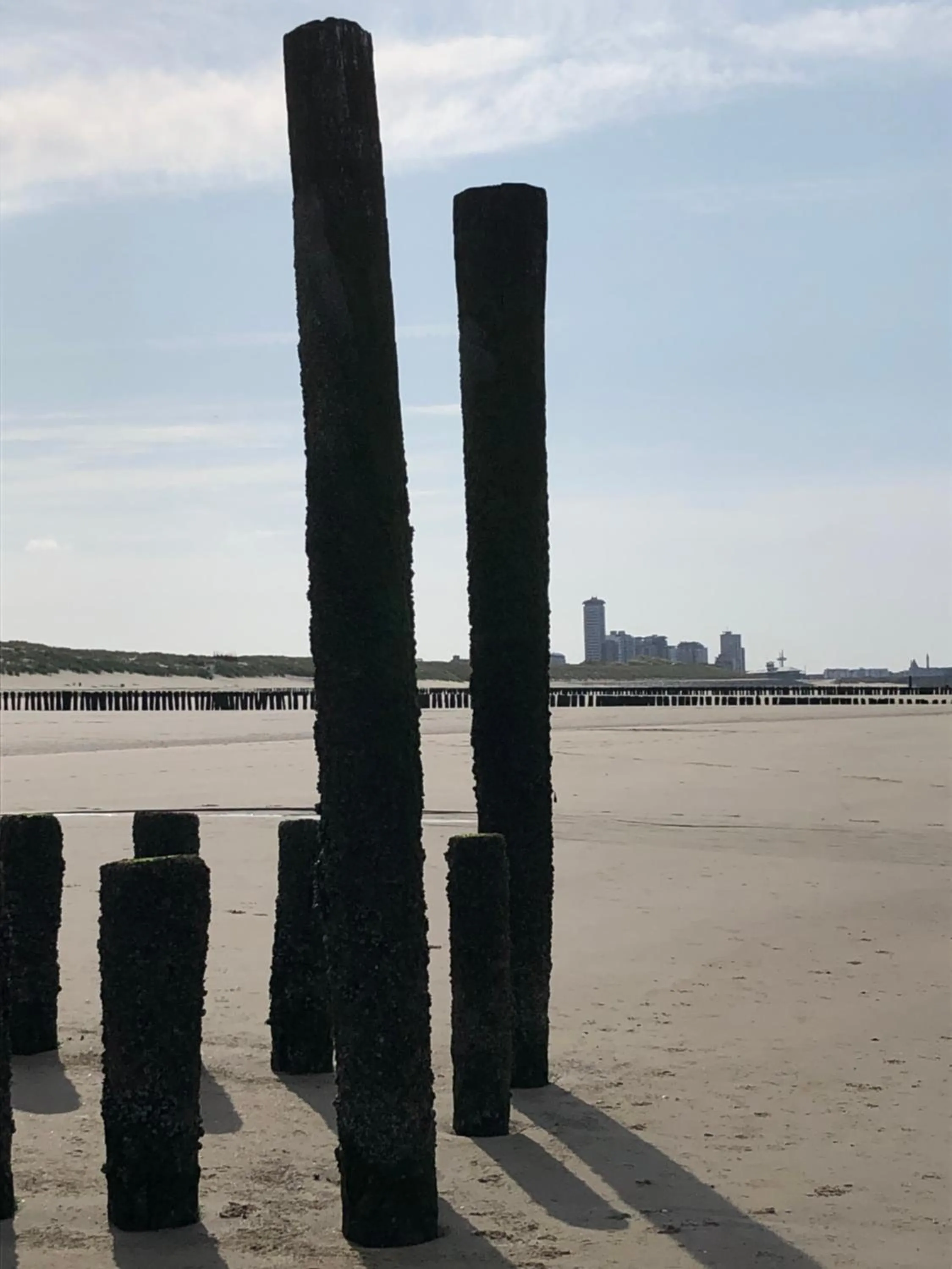 Beach in B&B Zeeuws genoegen