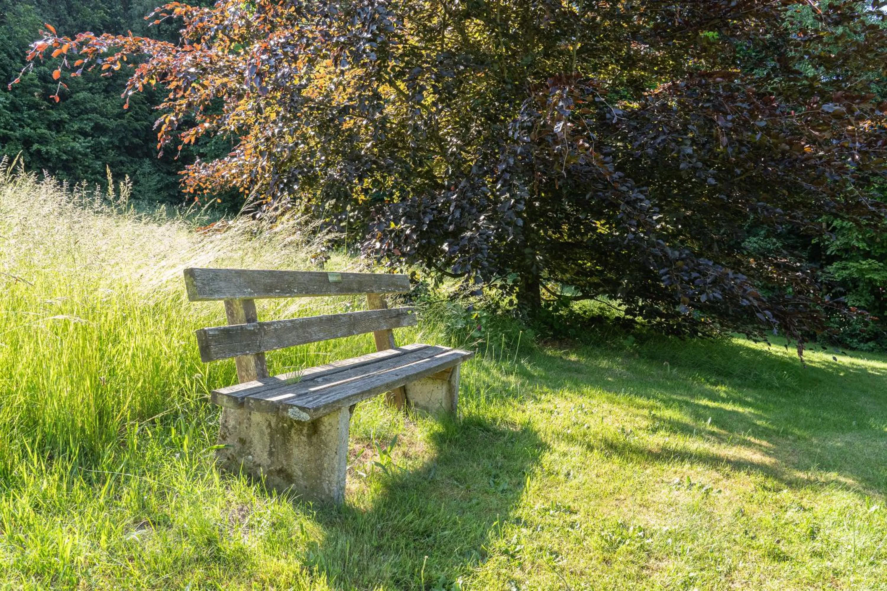 Natural landscape in Landhotel Bayerwald