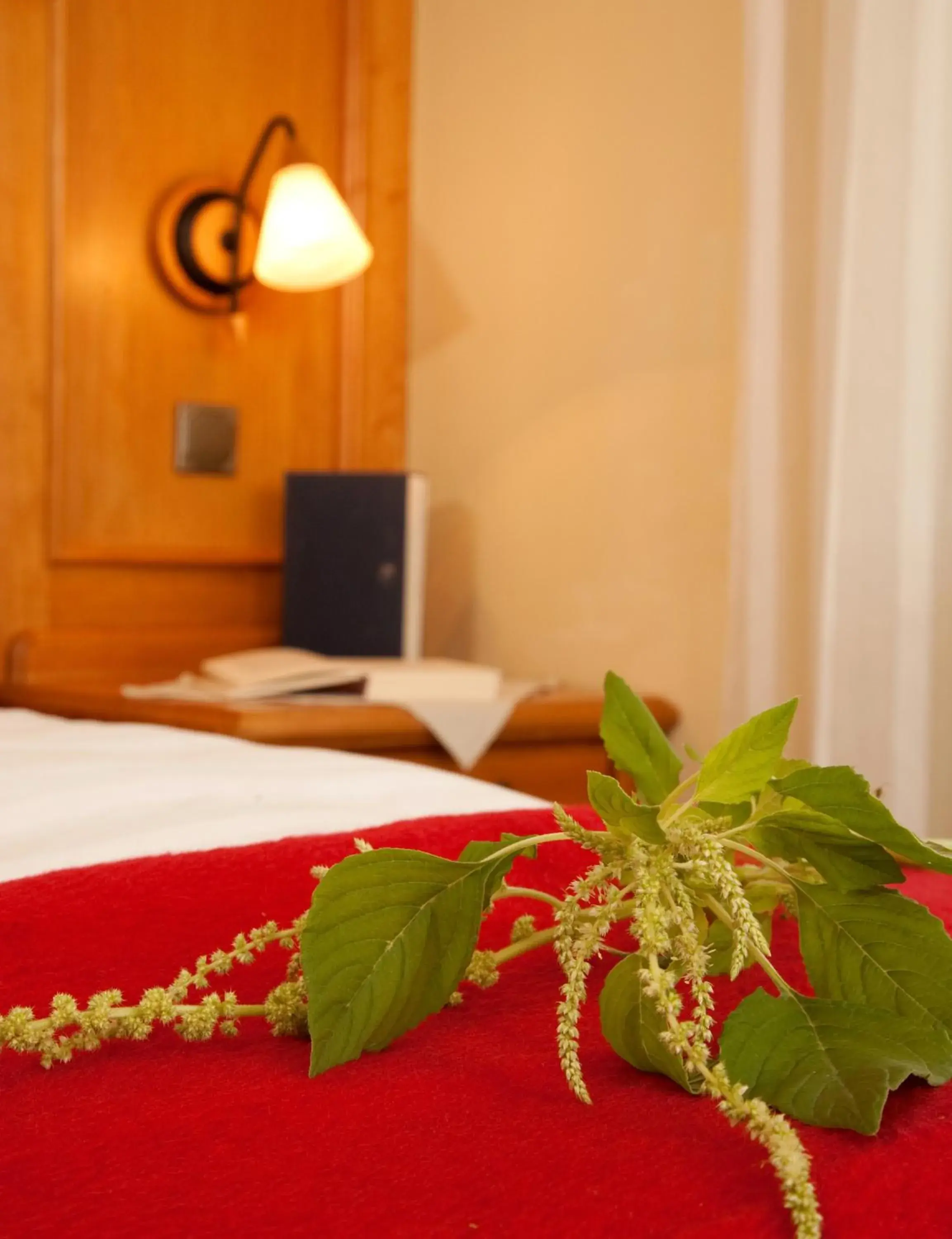 Single Room - single occupancy in Landhotel Bayerwald Single Room - single occupancy in Landhotel Bayerwald