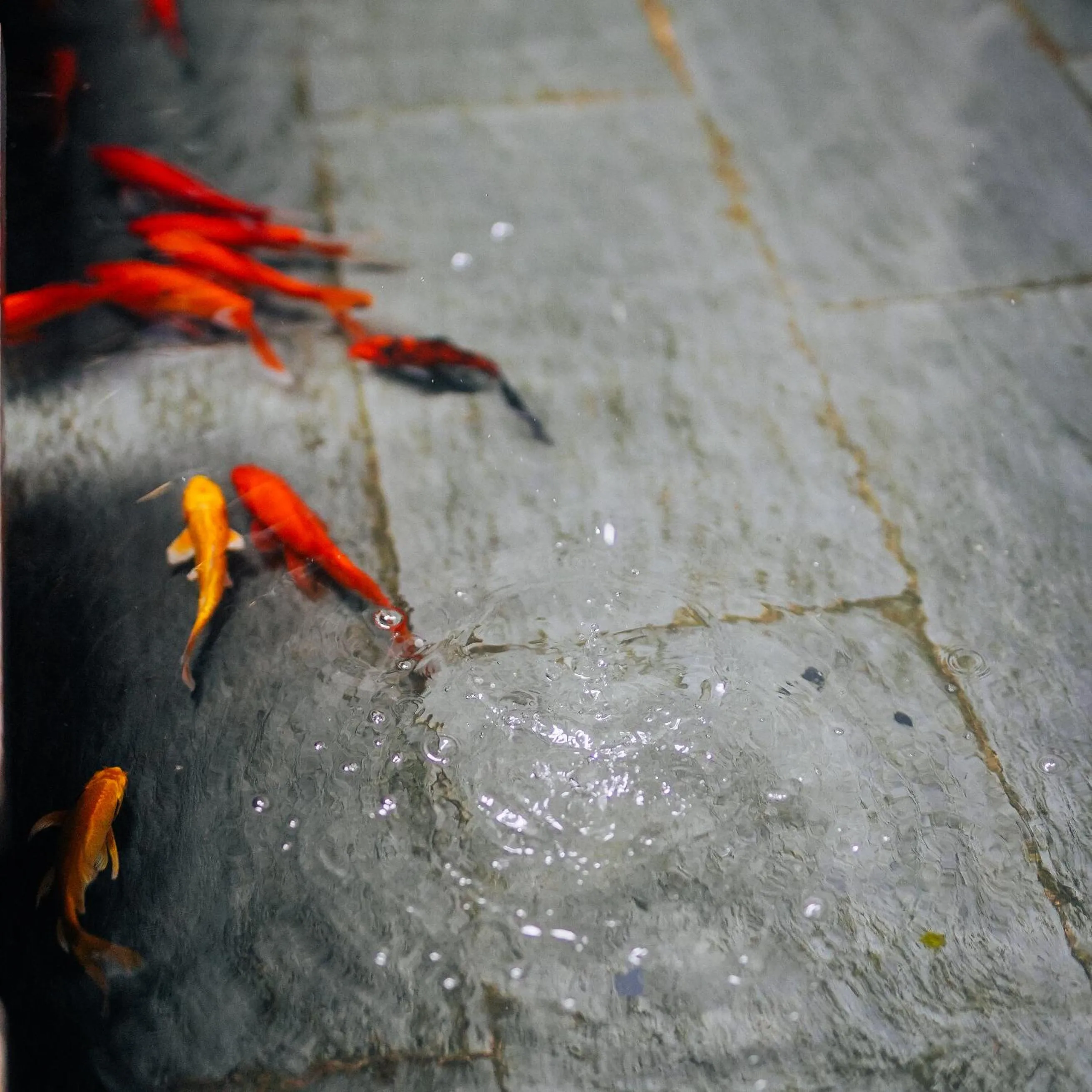 Yakamoz Haijie Hotel