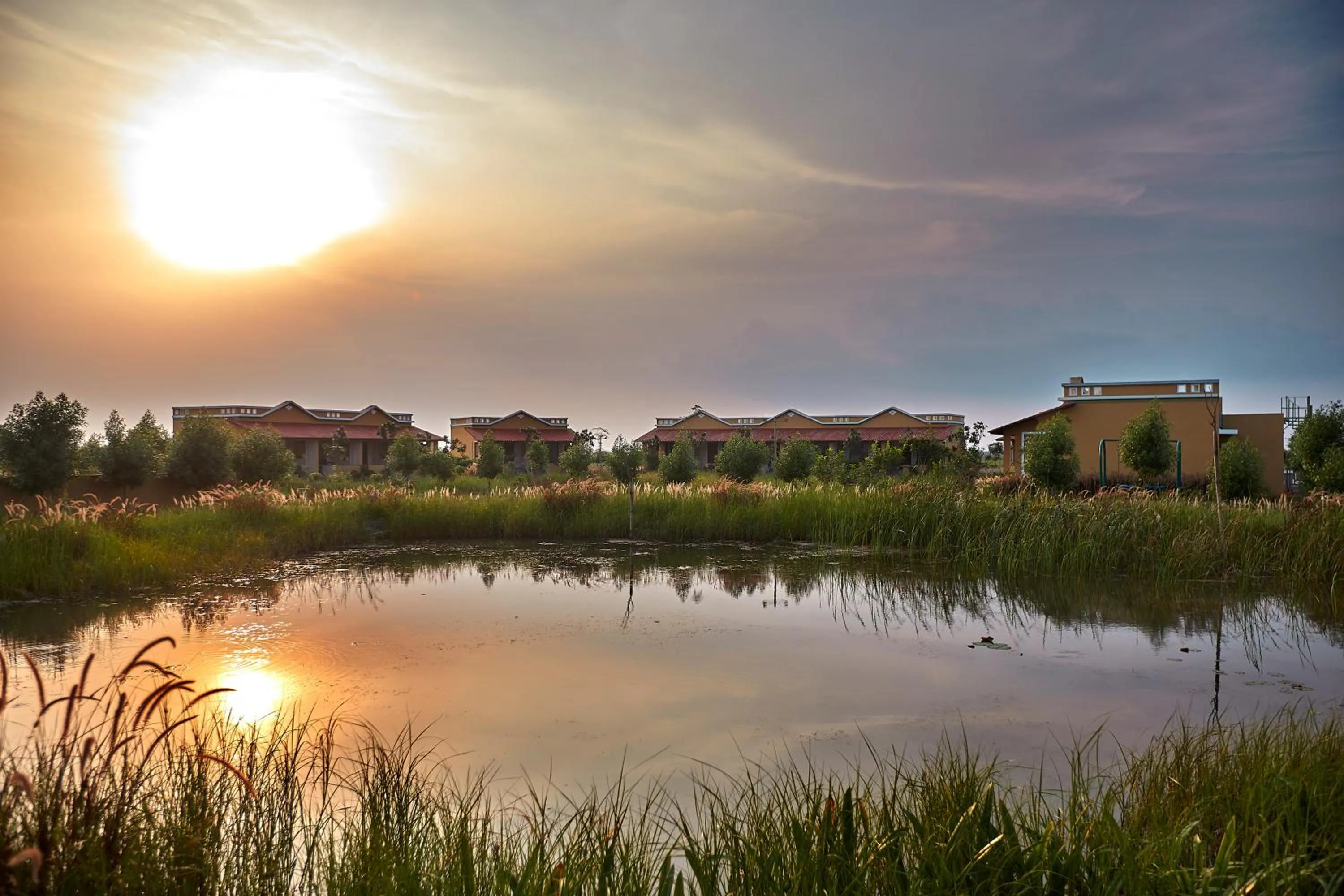 View (from property/room) in Blackbuck Safari Lodge Velavadar
