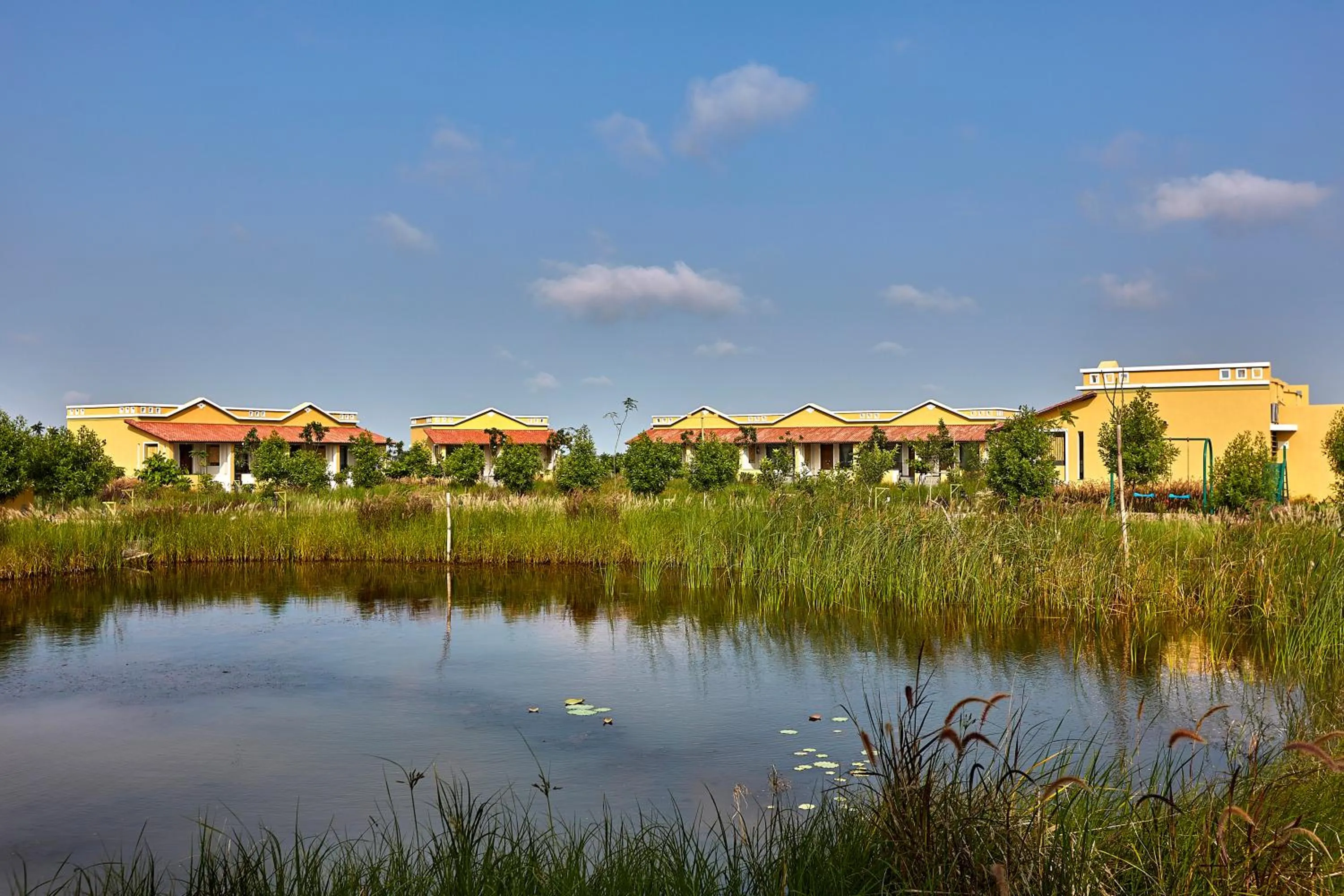 View (from property/room) in Blackbuck Safari Lodge Velavadar
