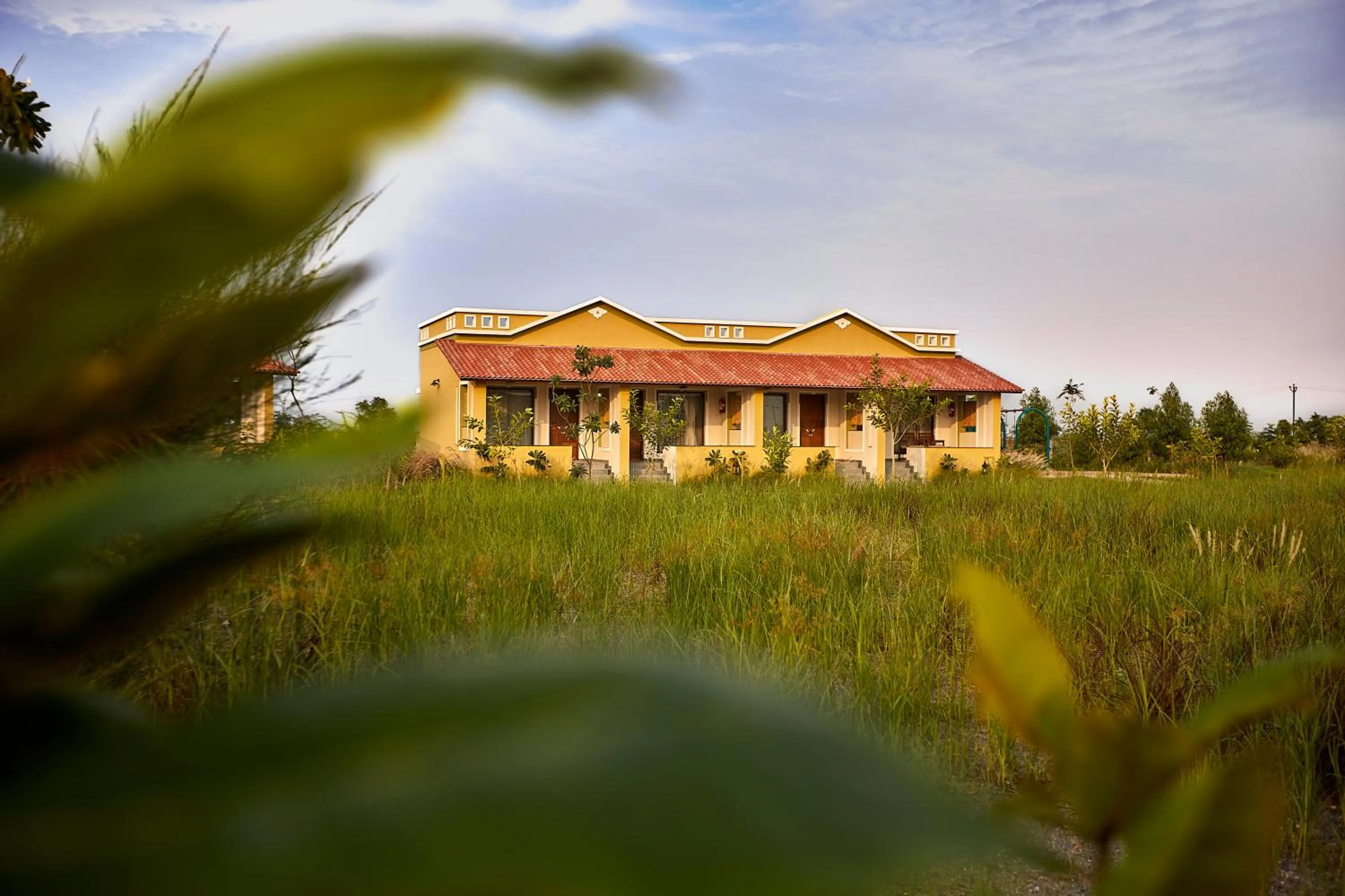 View (from property/room) in Blackbuck Safari Lodge Velavadar