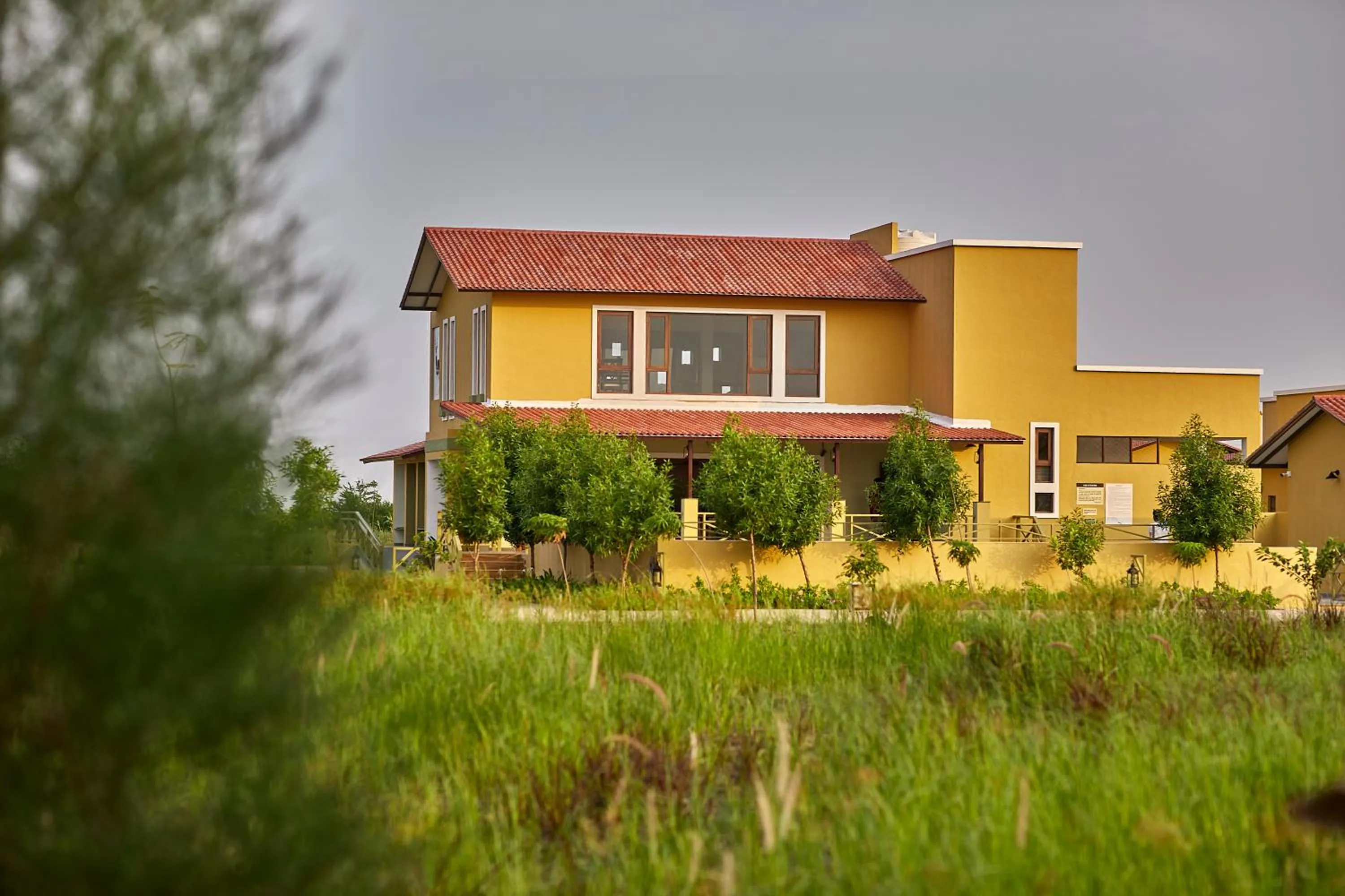 View (from property/room) in Blackbuck Safari Lodge Velavadar