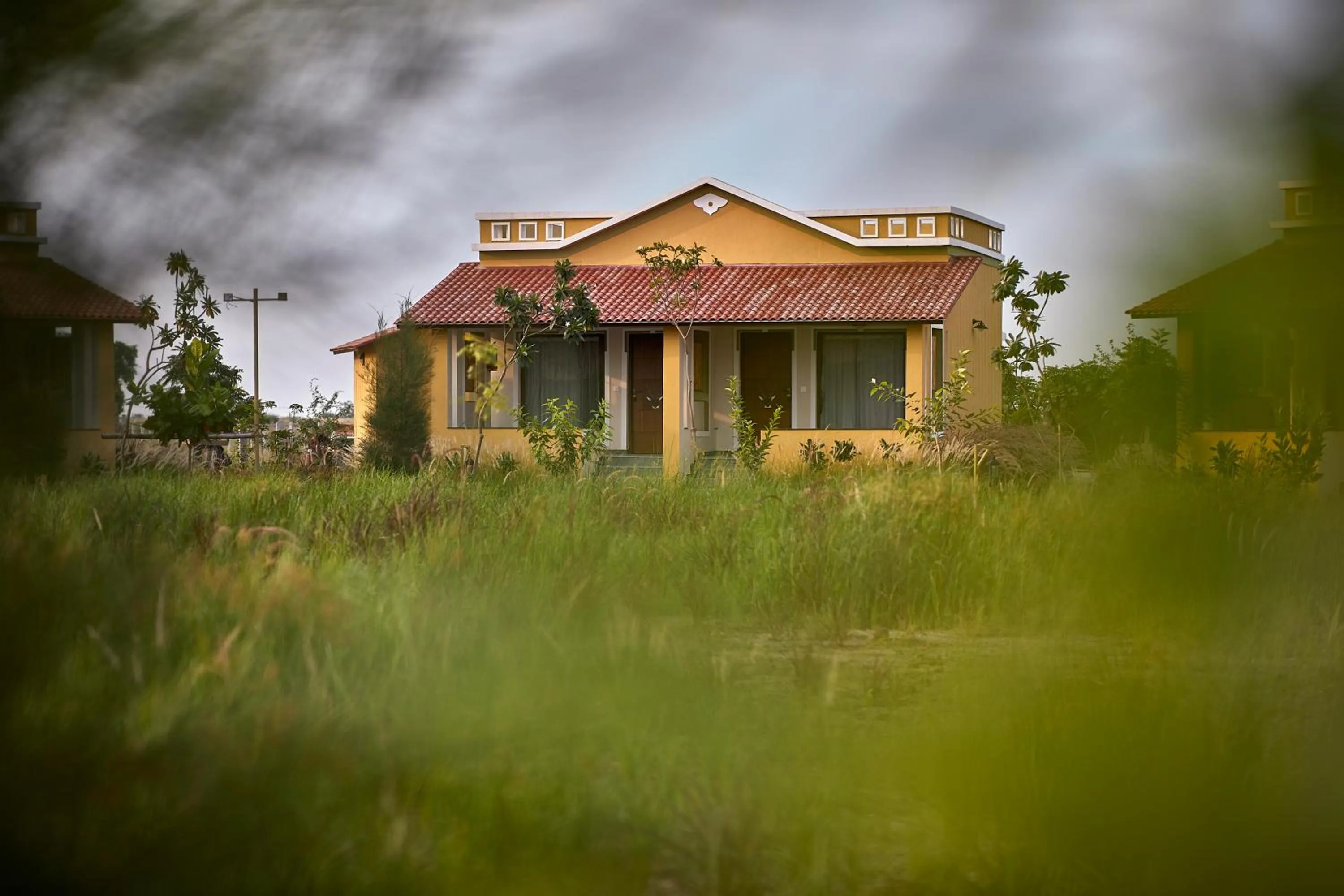View (from property/room) in Blackbuck Safari Lodge Velavadar