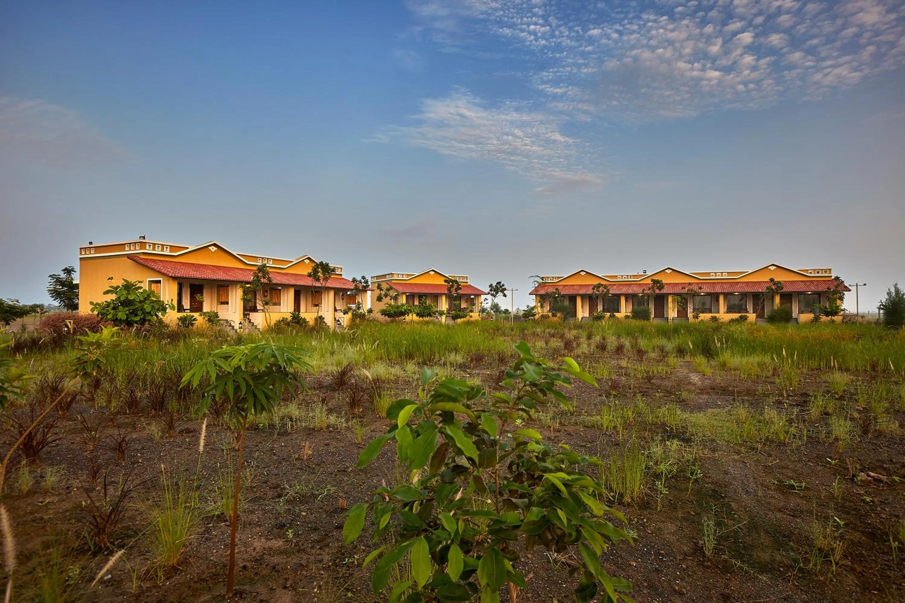 Property building in Blackbuck Safari Lodge Velavadar