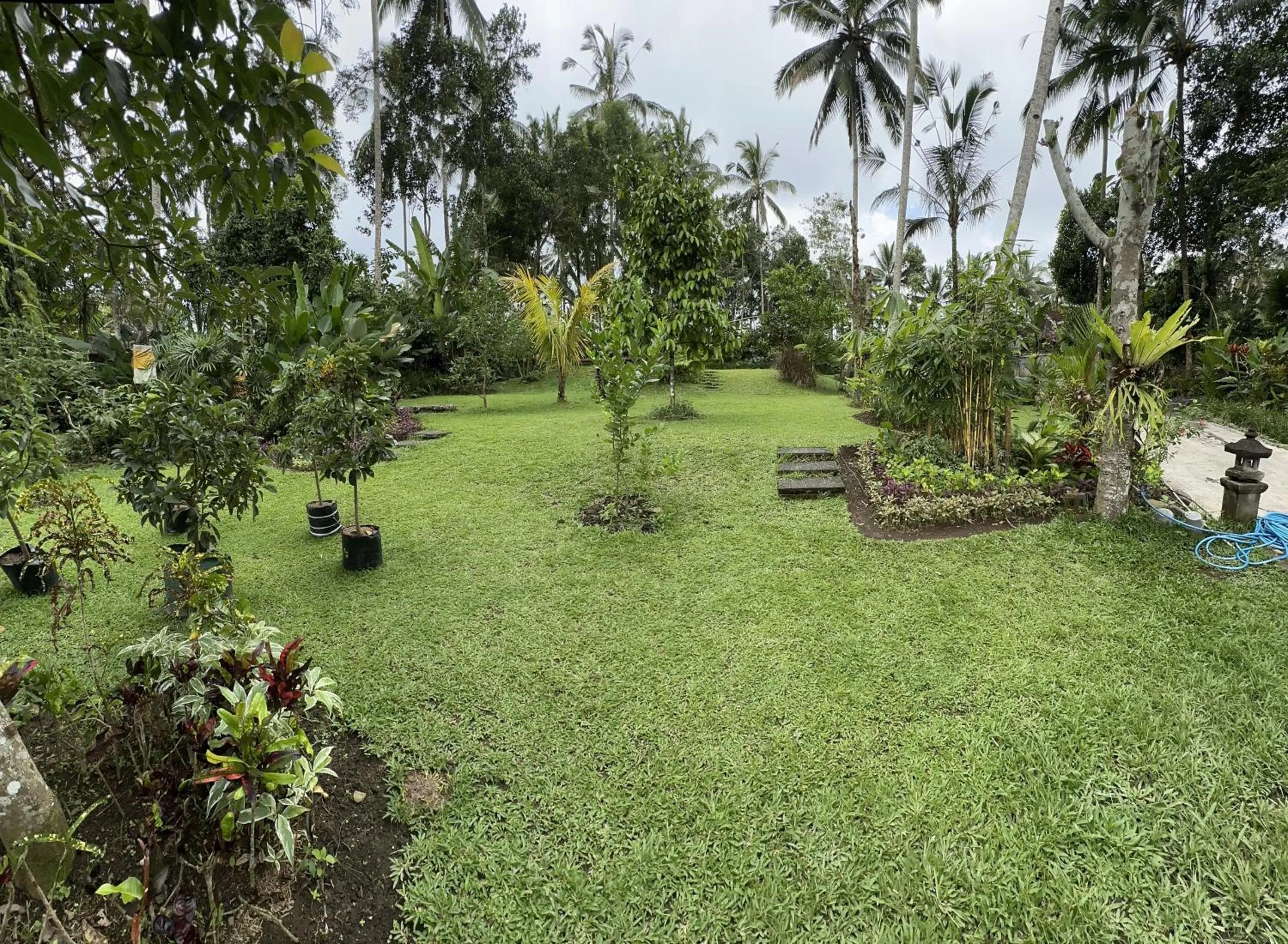 Garden in Kaja Villa