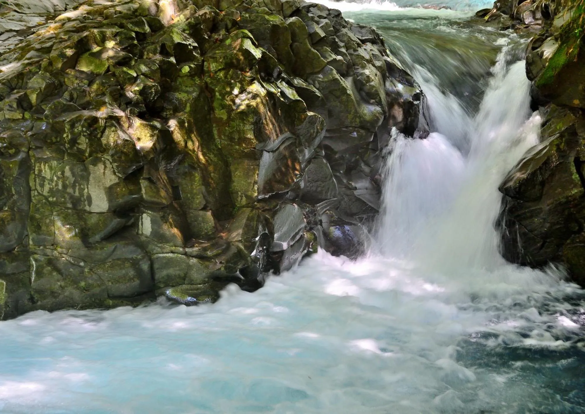 Nearby landmark in HOTEL&RESORT Izu no Ne