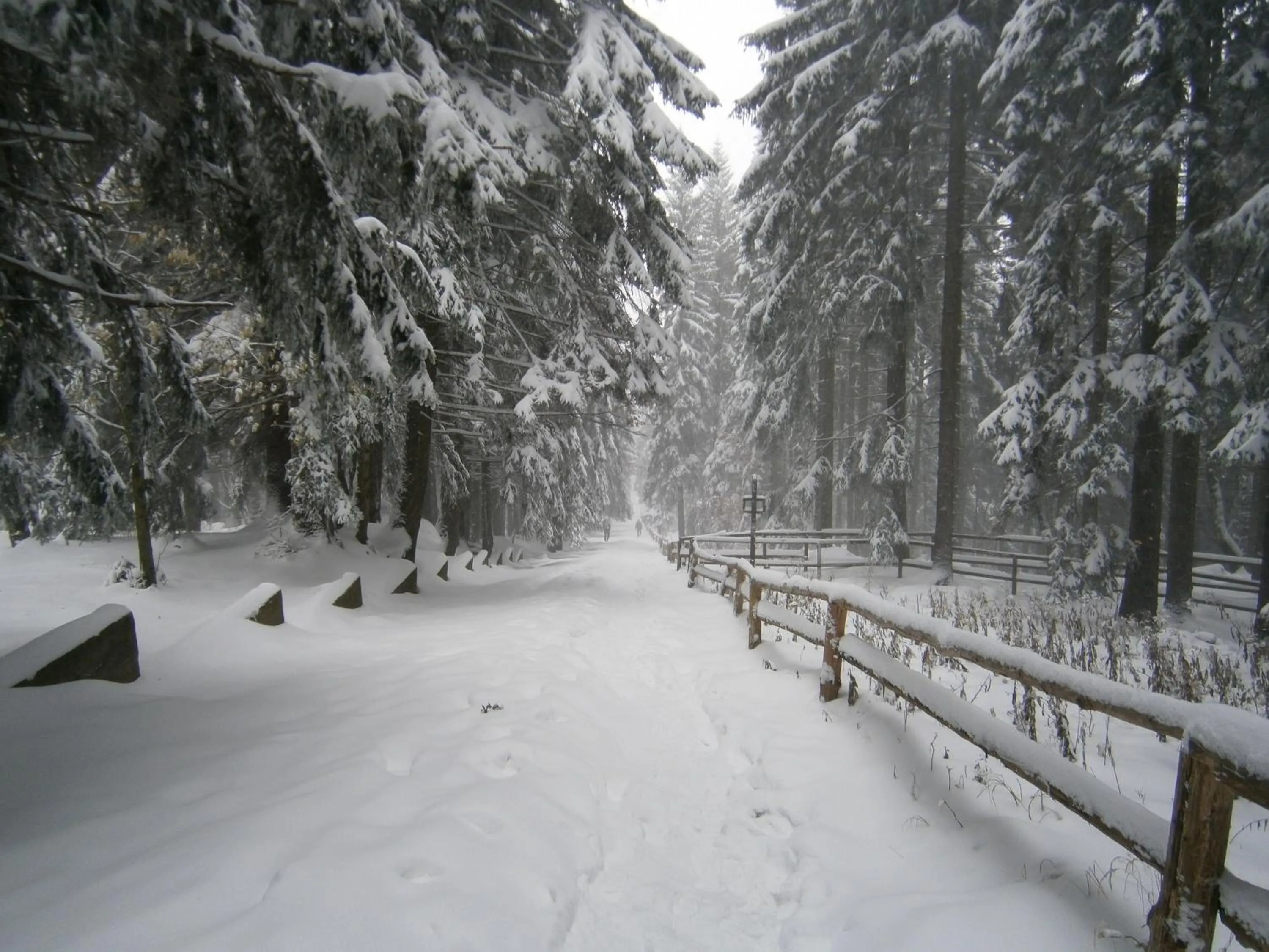 Day in Willa Na Cichej