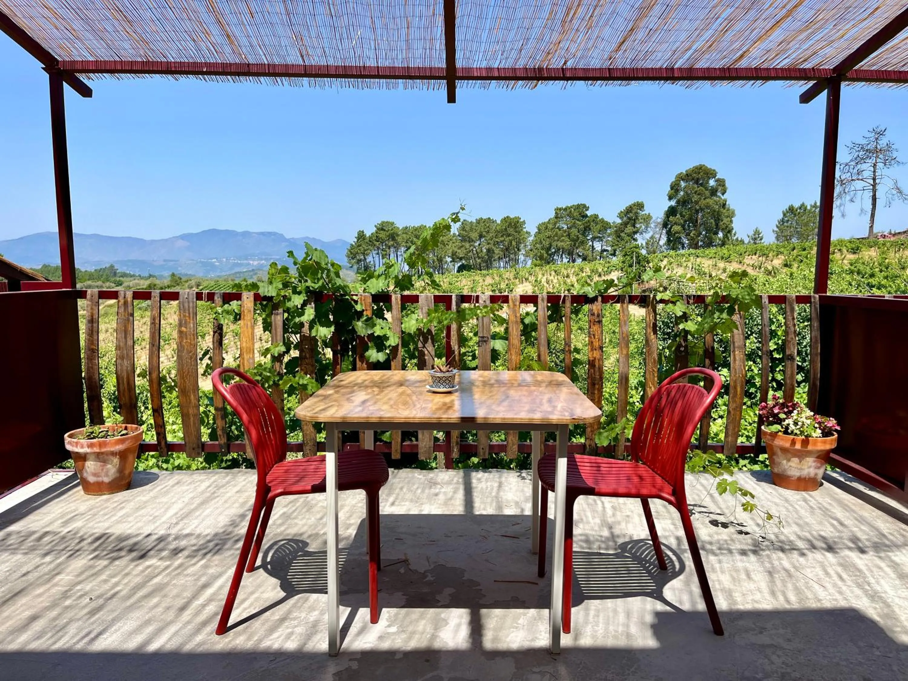 View (from property/room) in Quinta Da Estrada Winery Douro Valley