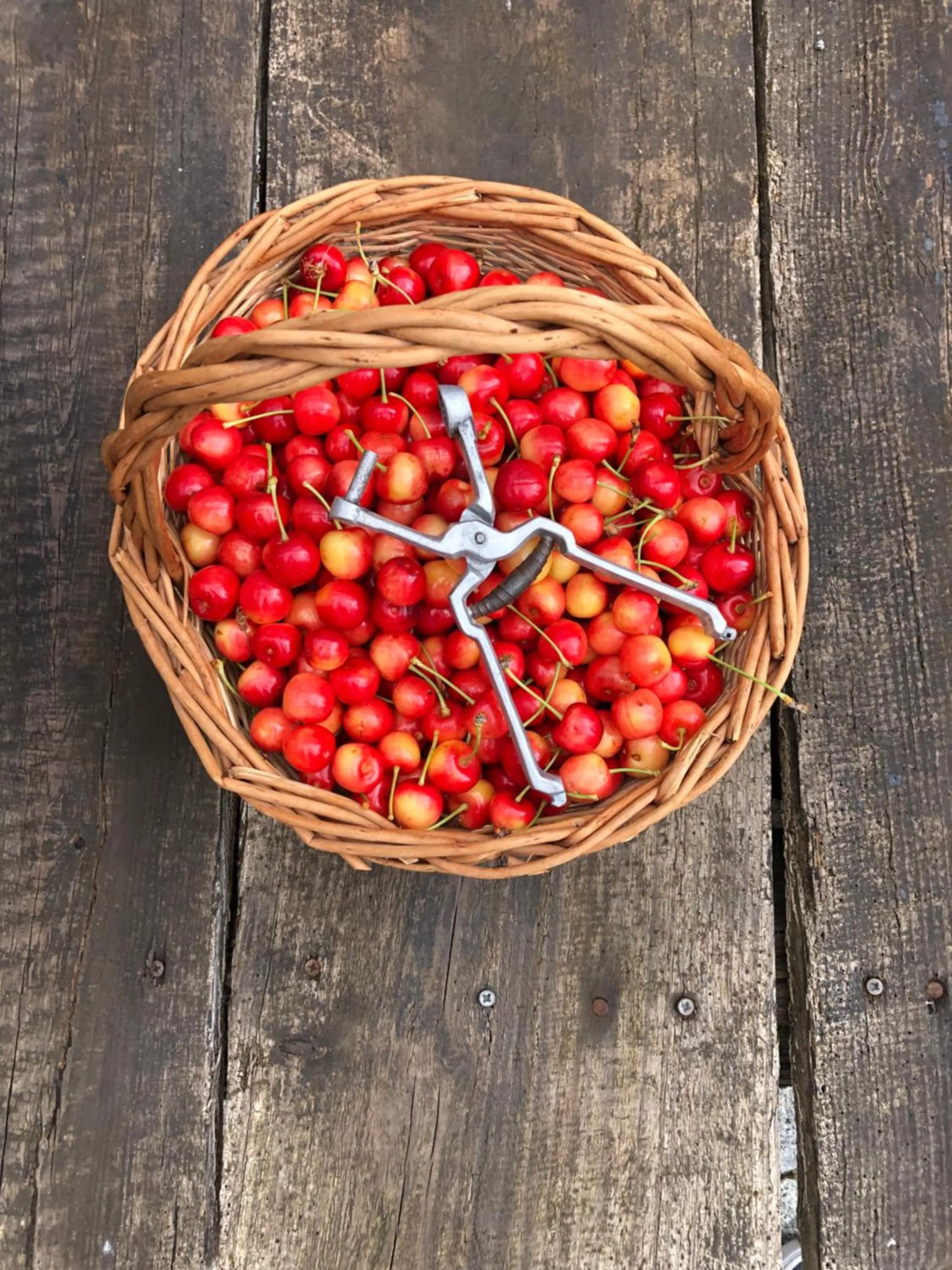 Food in Quinta Da Estrada Winery Douro Valley