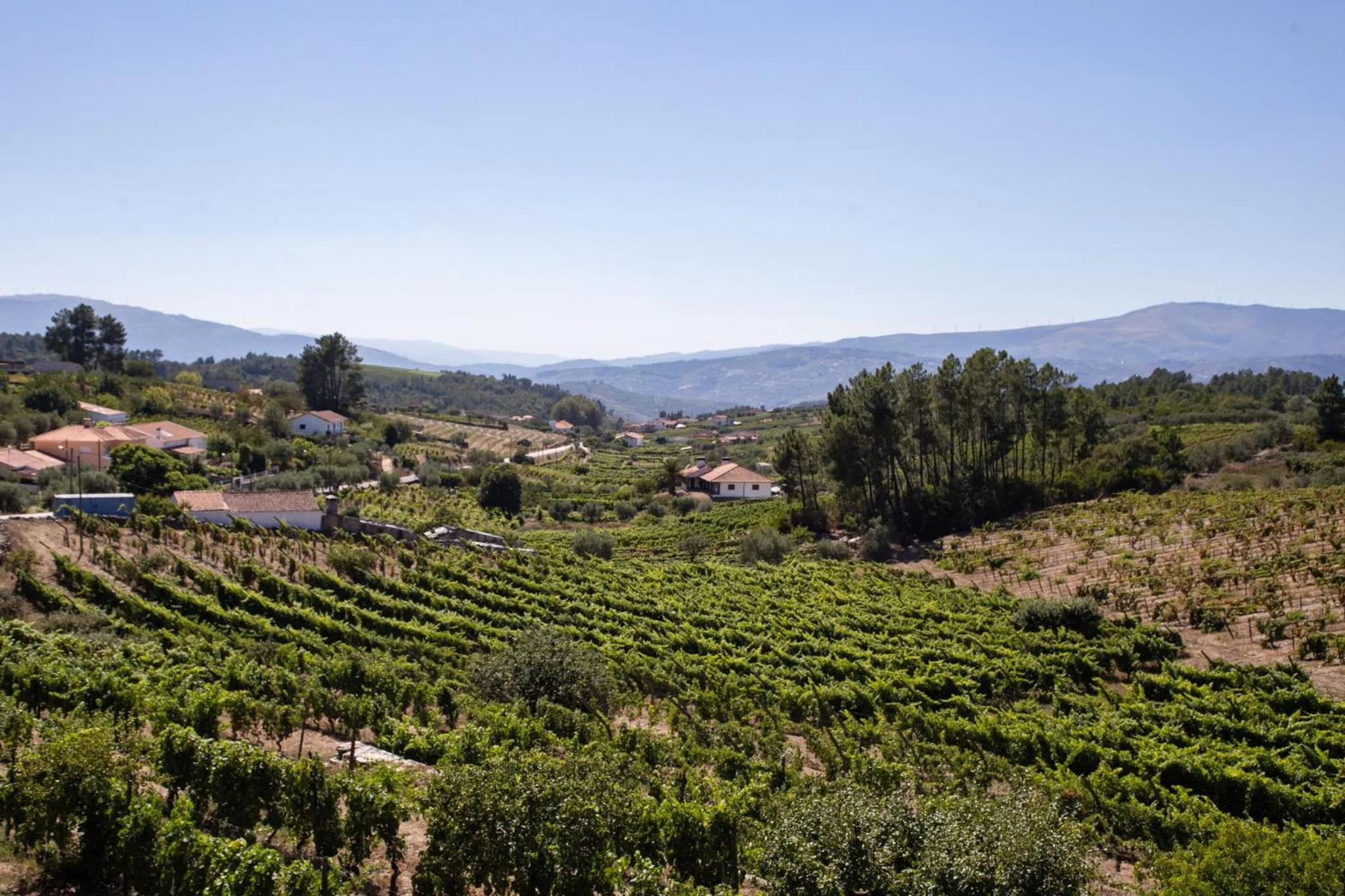 Natural landscape in Quinta Da Estrada Winery Douro Valley