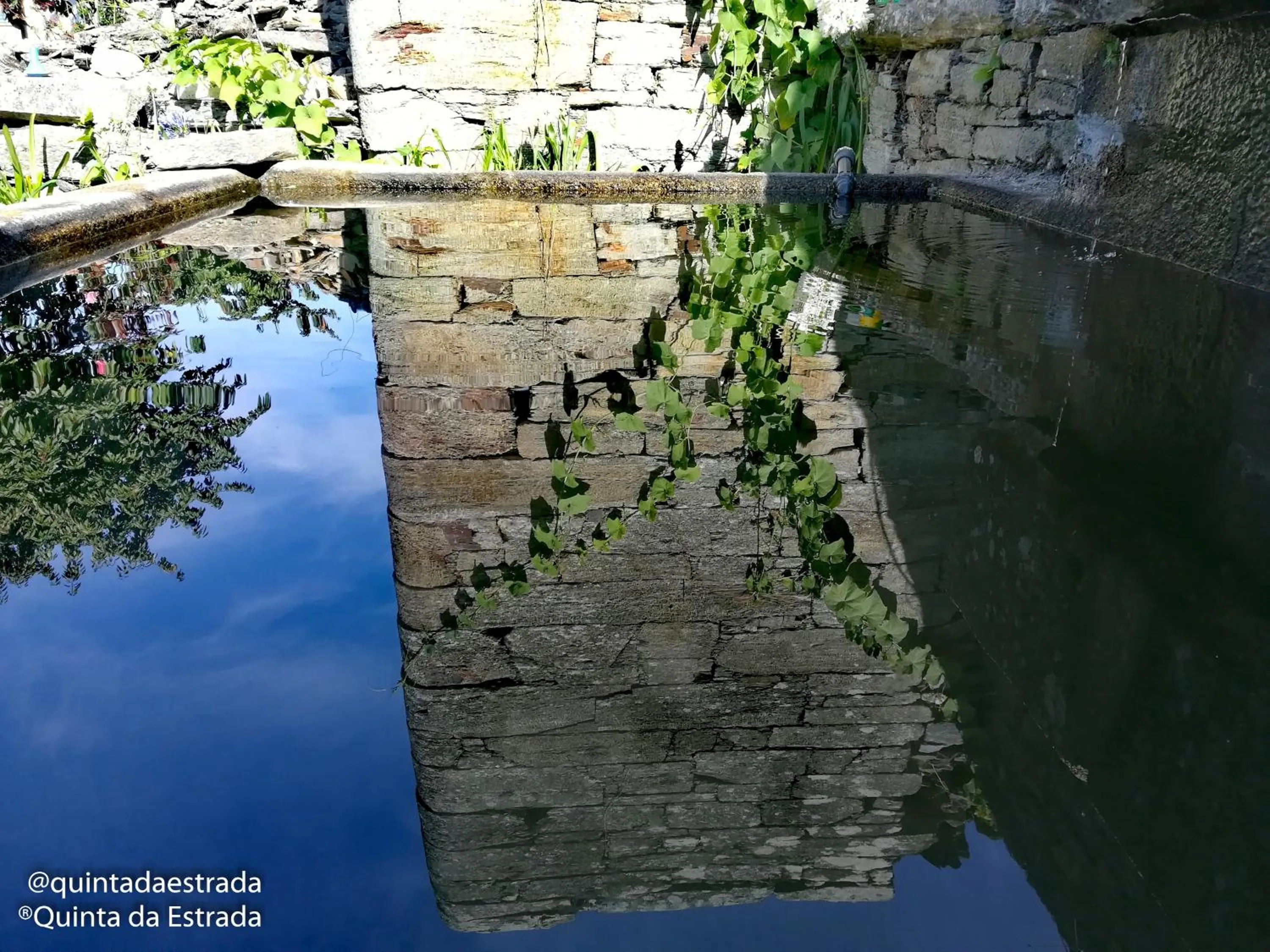 Natural landscape in Quinta Da Estrada Winery Douro Valley