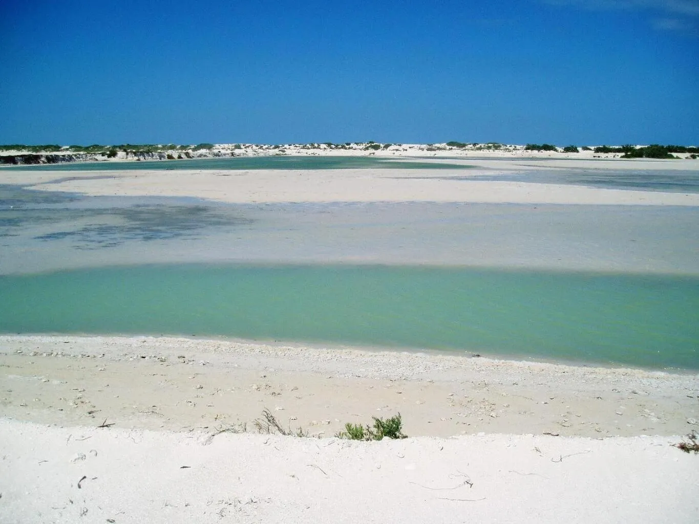 Natural landscape in Antigua Lodge, 70 m from sandy beach