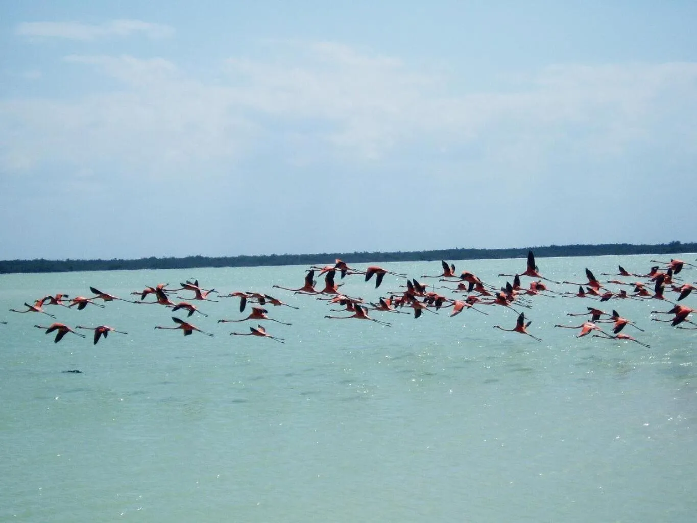 Natural landscape in Antigua Lodge, 70 m from sandy beach
