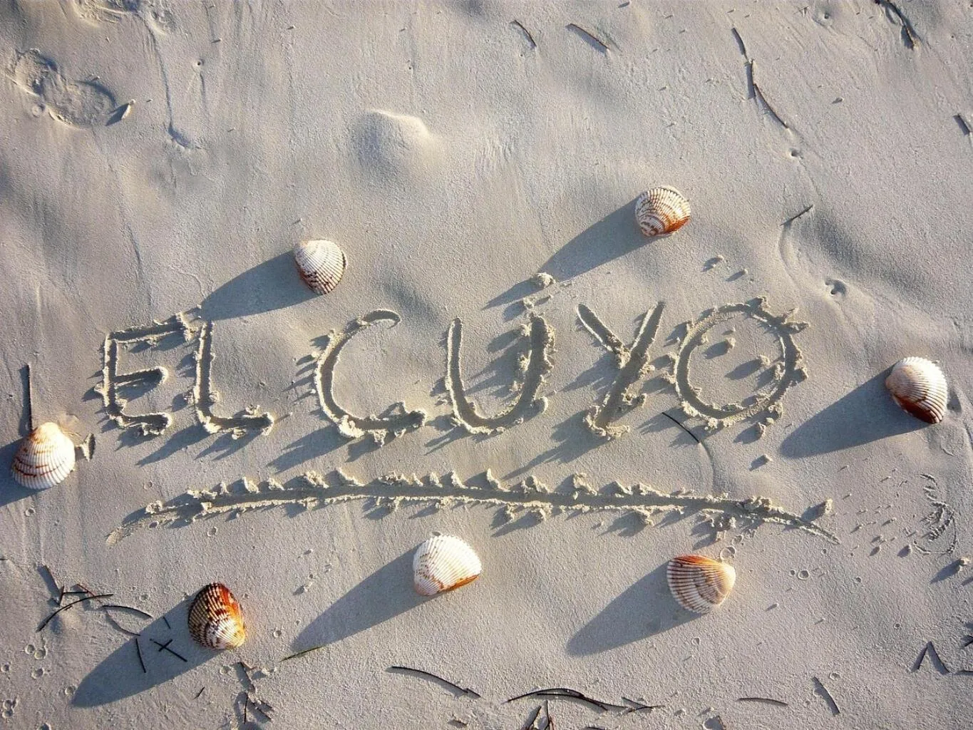 Beach in Antigua Lodge, 70 m from sandy beach