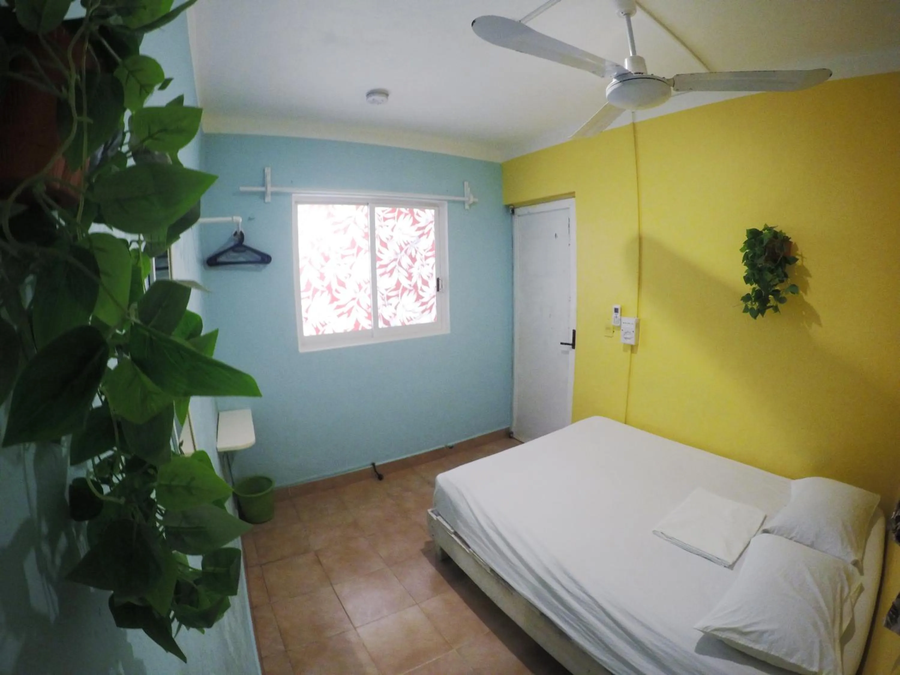 Bed in Tres Mundos Hostel