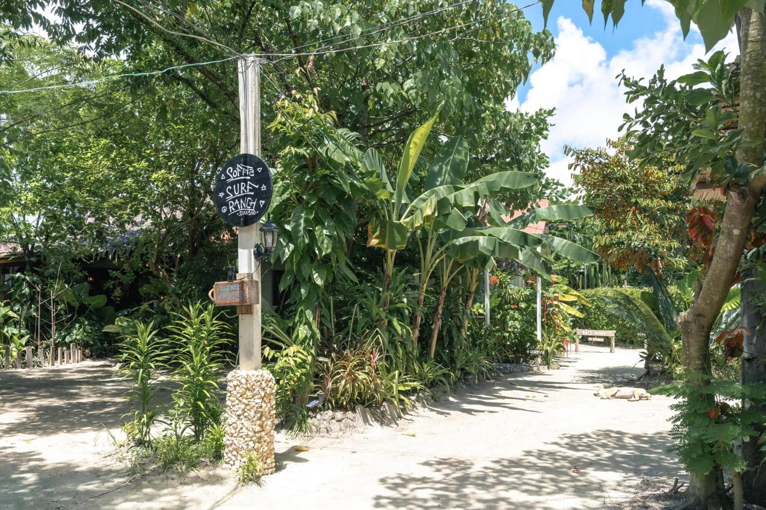 Logo/Certificate/Sign in Soffta Surf Ranch